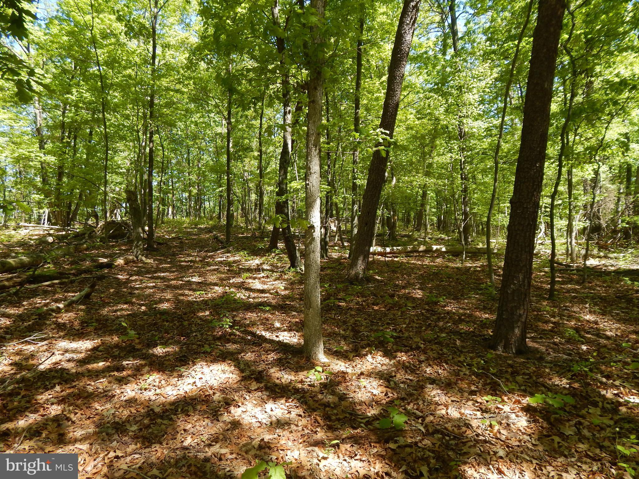 NONE AVAILABLE - Land