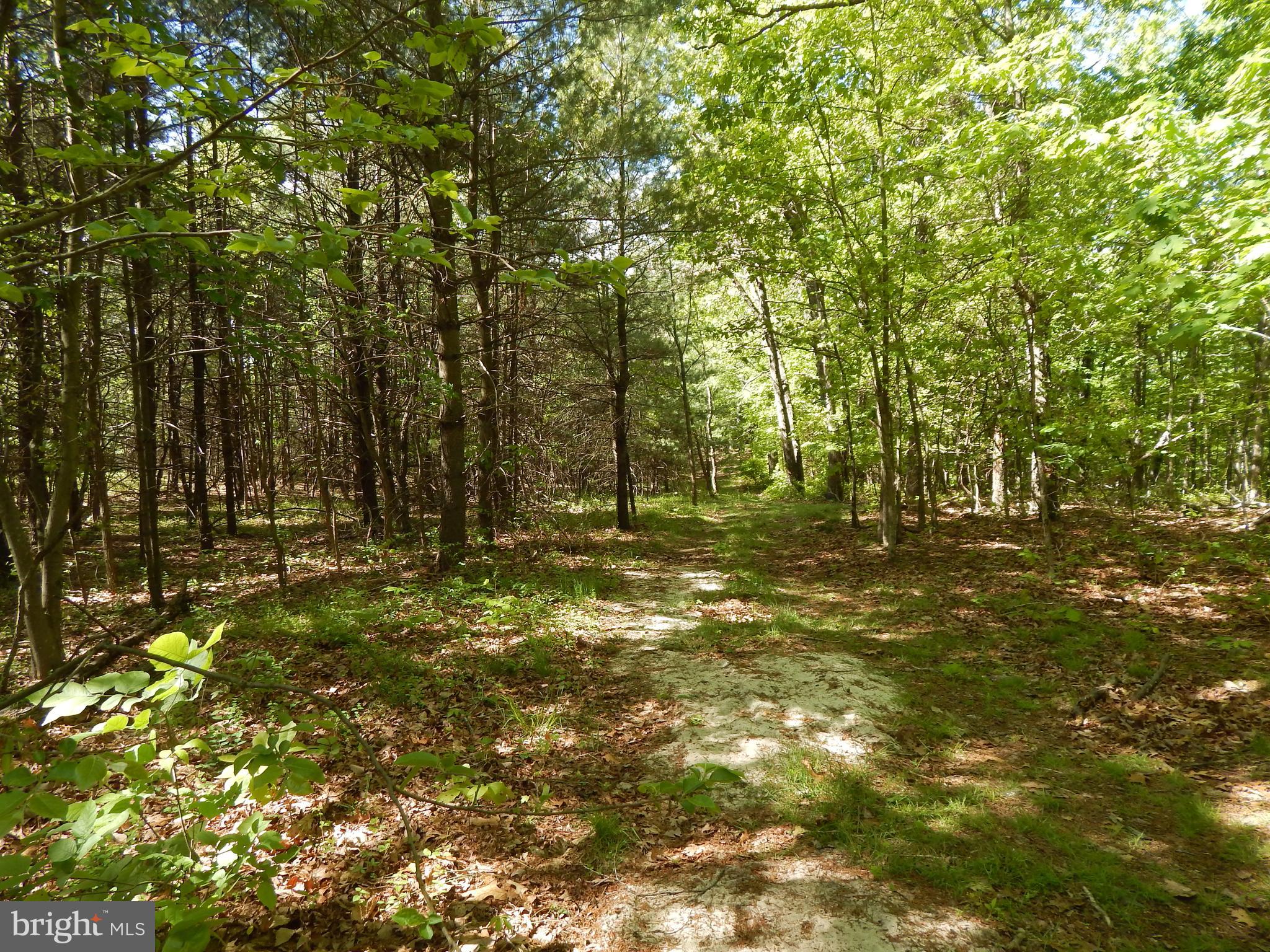 NONE AVAILABLE - Land