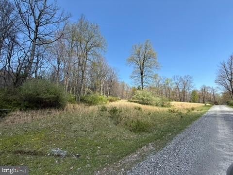 LOT ON DOGWOOD DRIVE