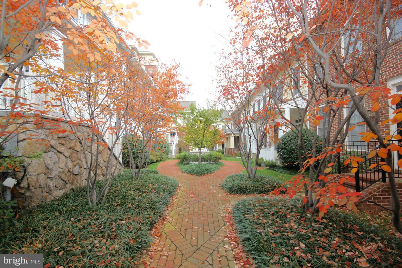 CLARENDON CENTER - Residential Lease