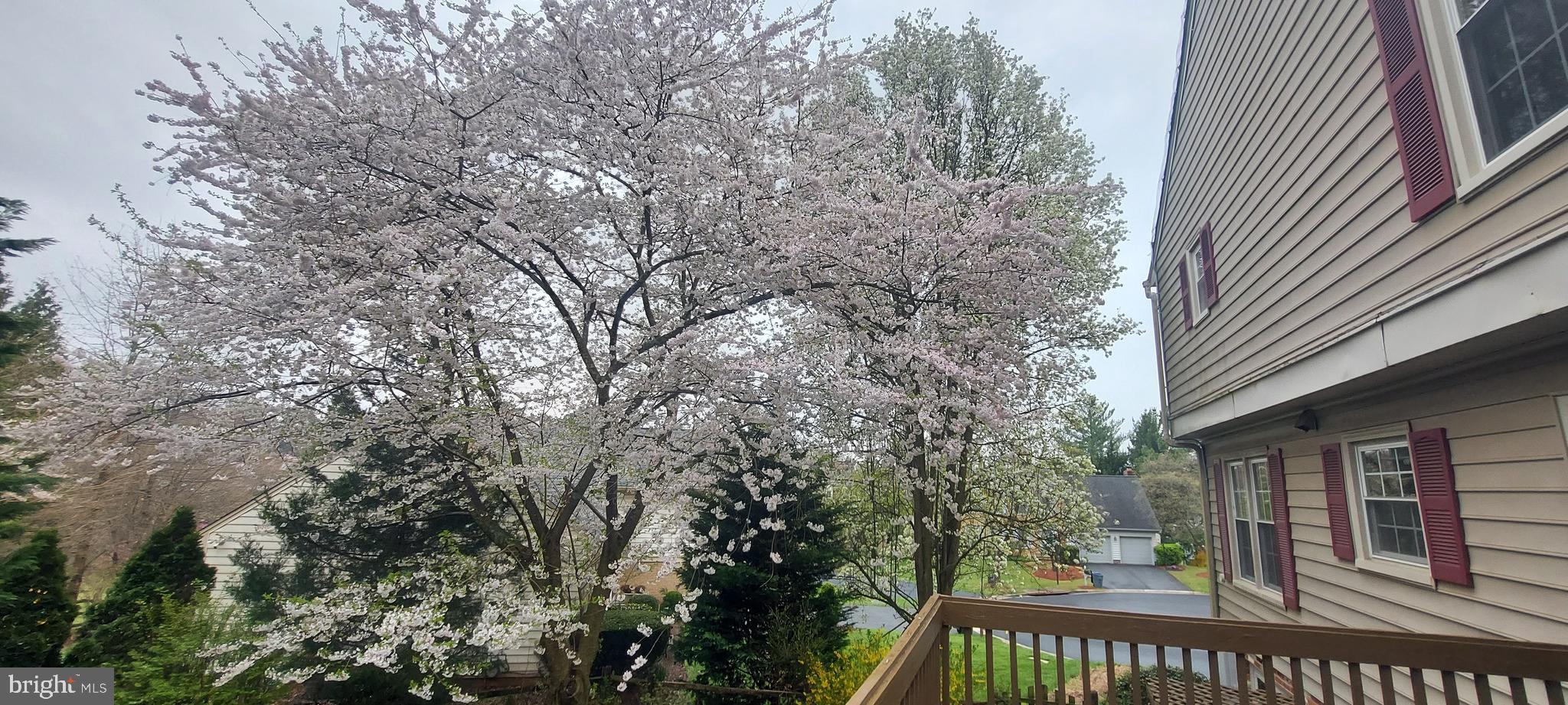 PLEASANT RIDGE - Residential Lease