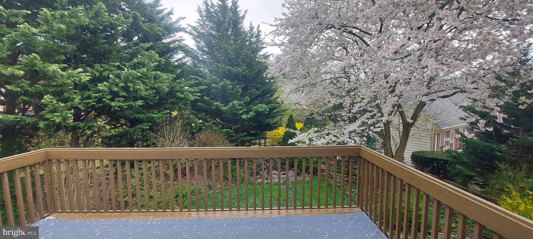 PLEASANT RIDGE - Residential Lease