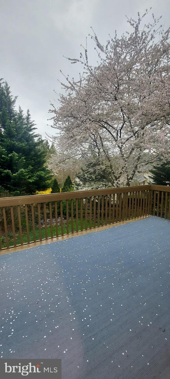 PLEASANT RIDGE - Residential Lease