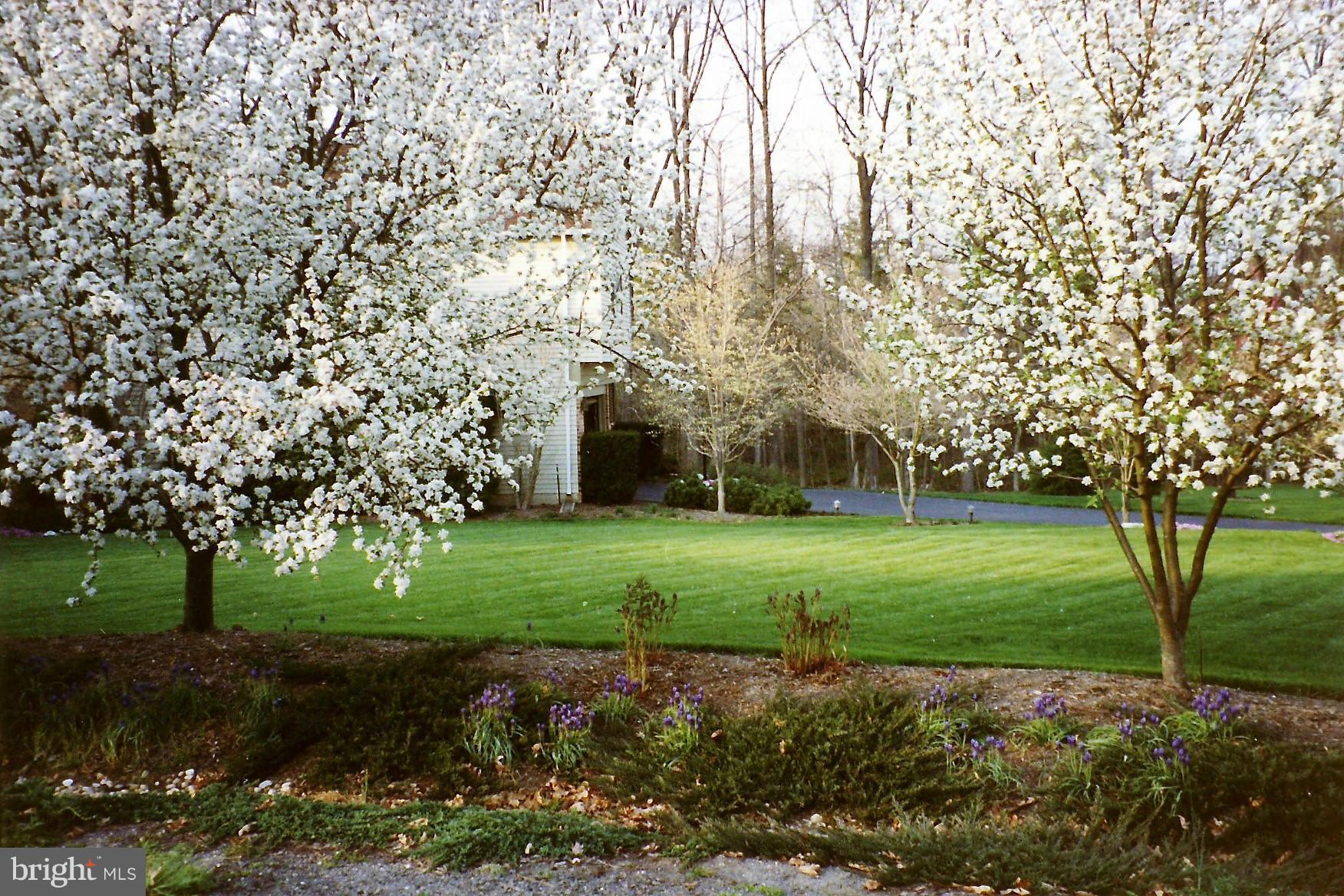 BRENTWOOD - Residential