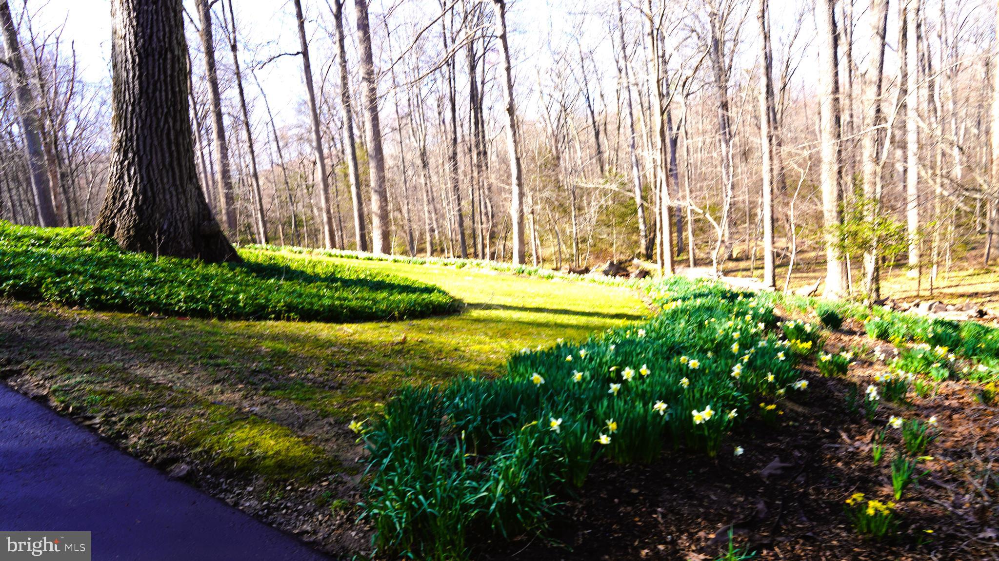 CONNEMARA - Residential