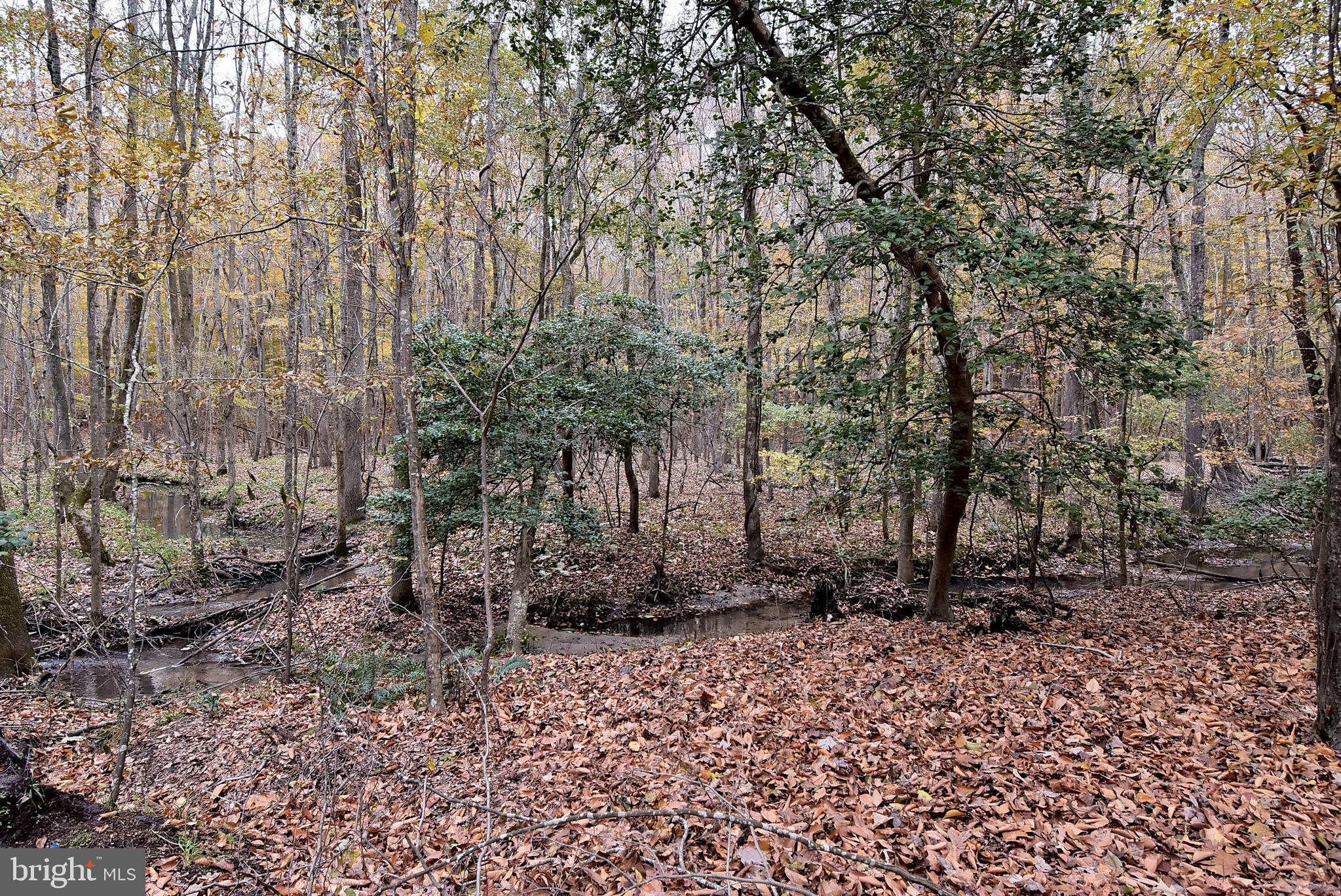 QUEENS LAKE - Residential