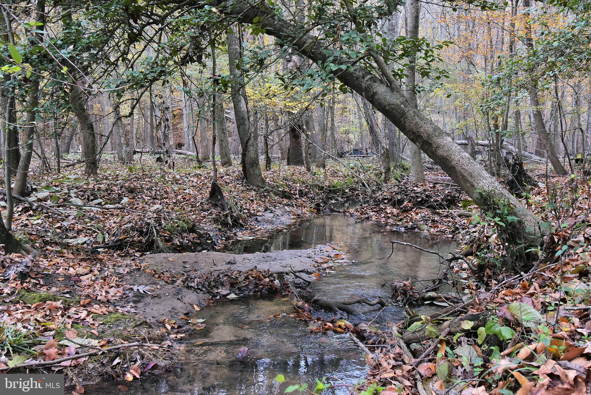 QUEENS LAKE - Residential