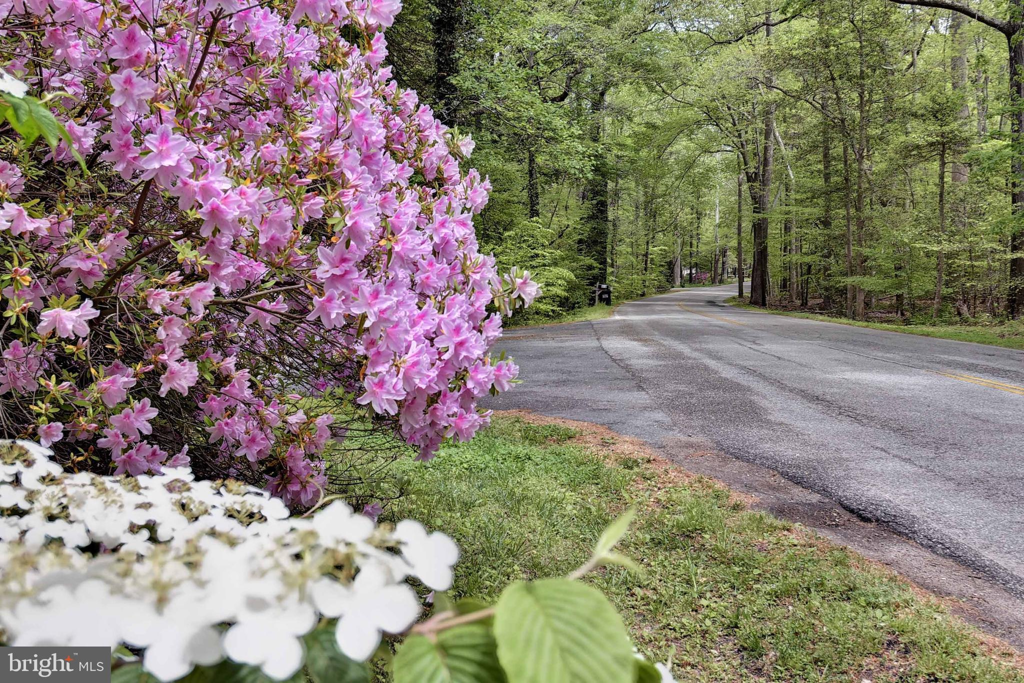 QUEENS LAKE - Residential