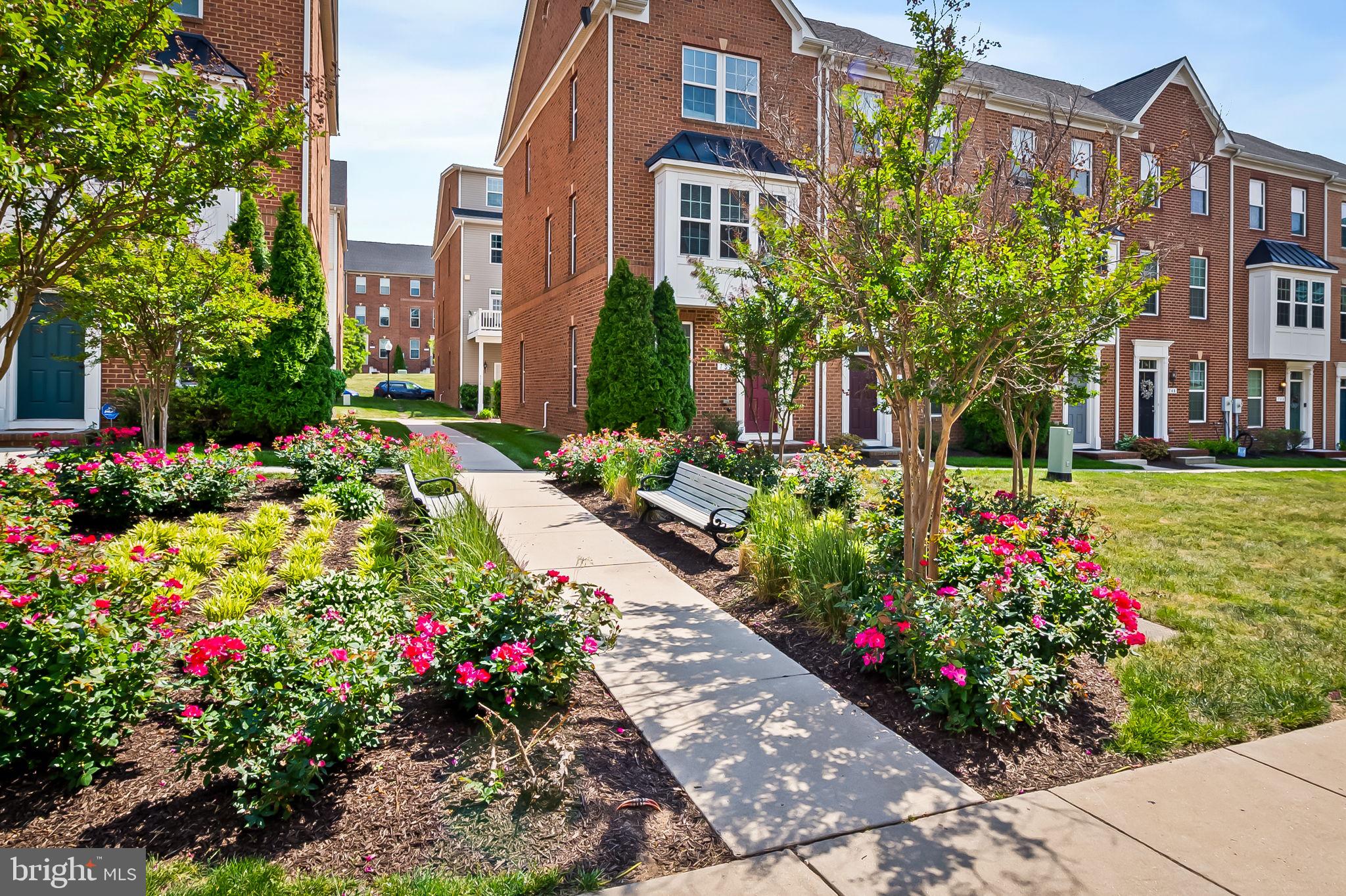 O'DONNELL SQUARE - Residential