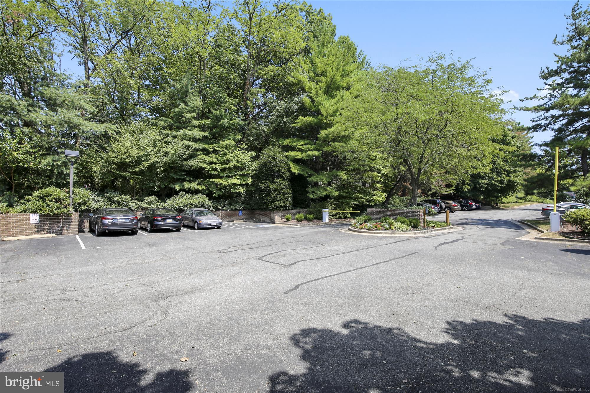 THE PLAZA - Residential