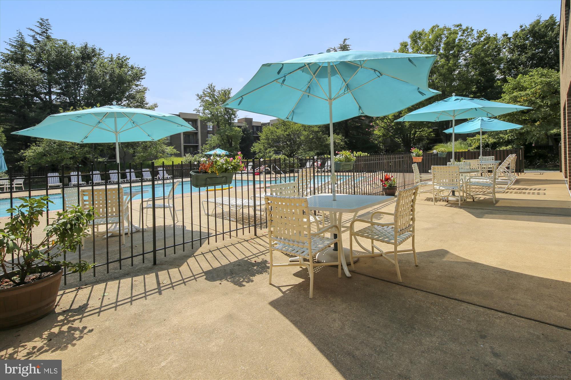 THE PLAZA - Residential