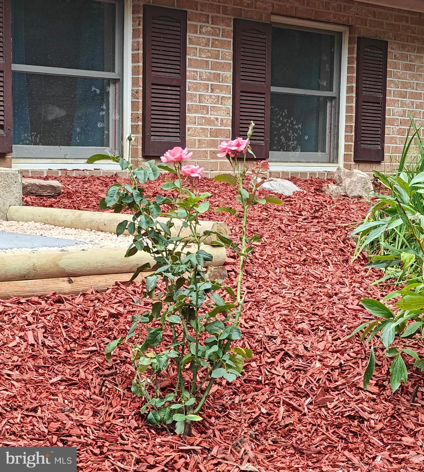 36 SNAKE LANE