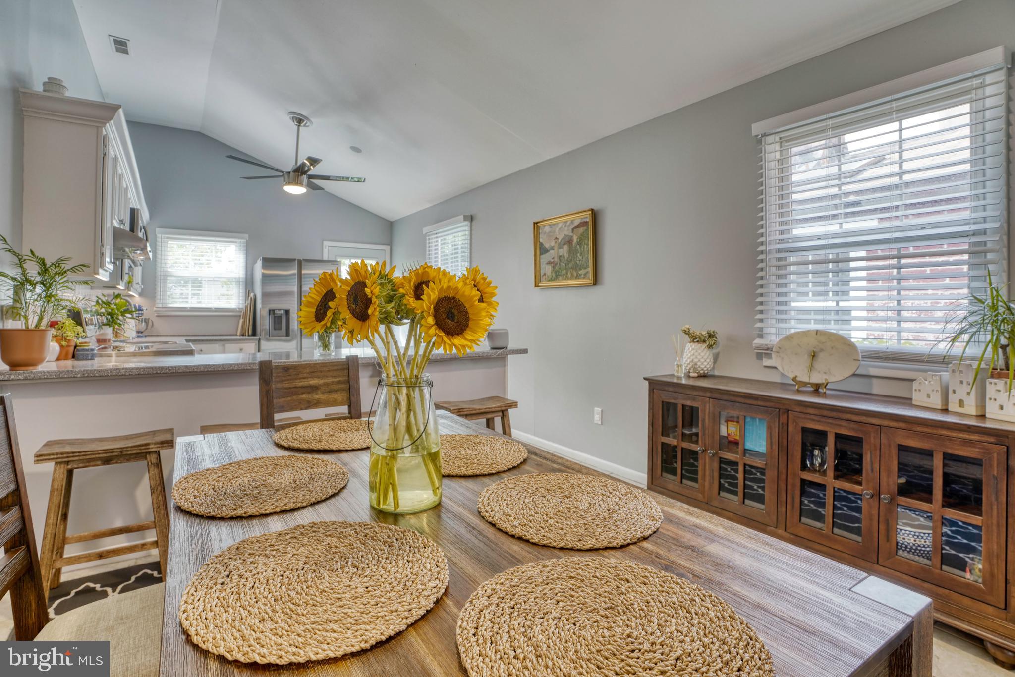 UPPER FELLS POINT - Residential