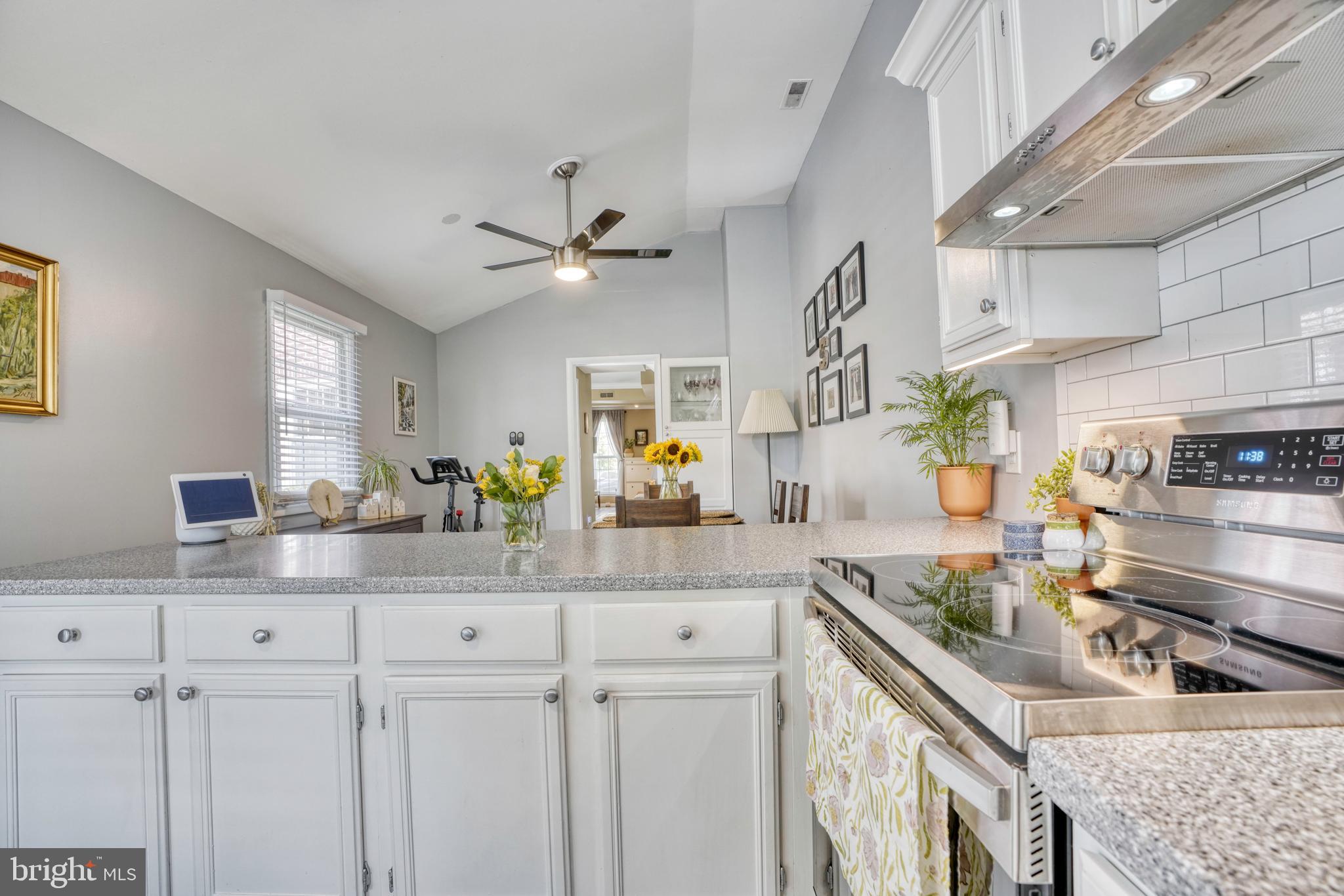 UPPER FELLS POINT - Residential