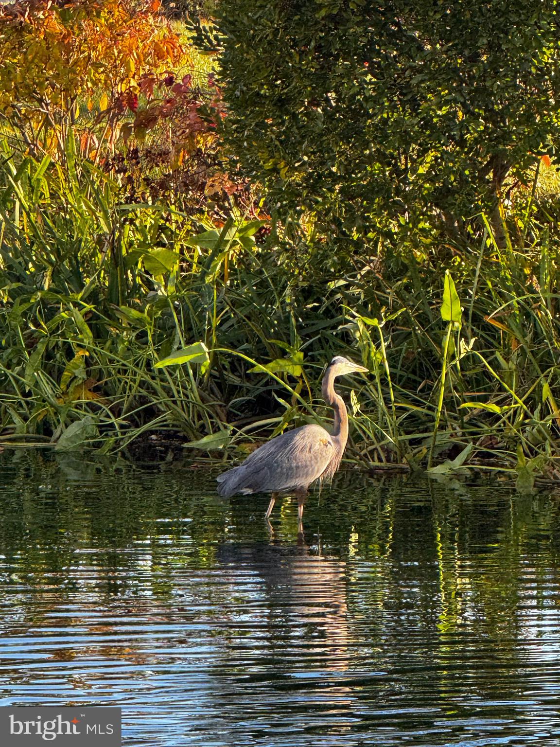 NARROWS POINTE - Residential