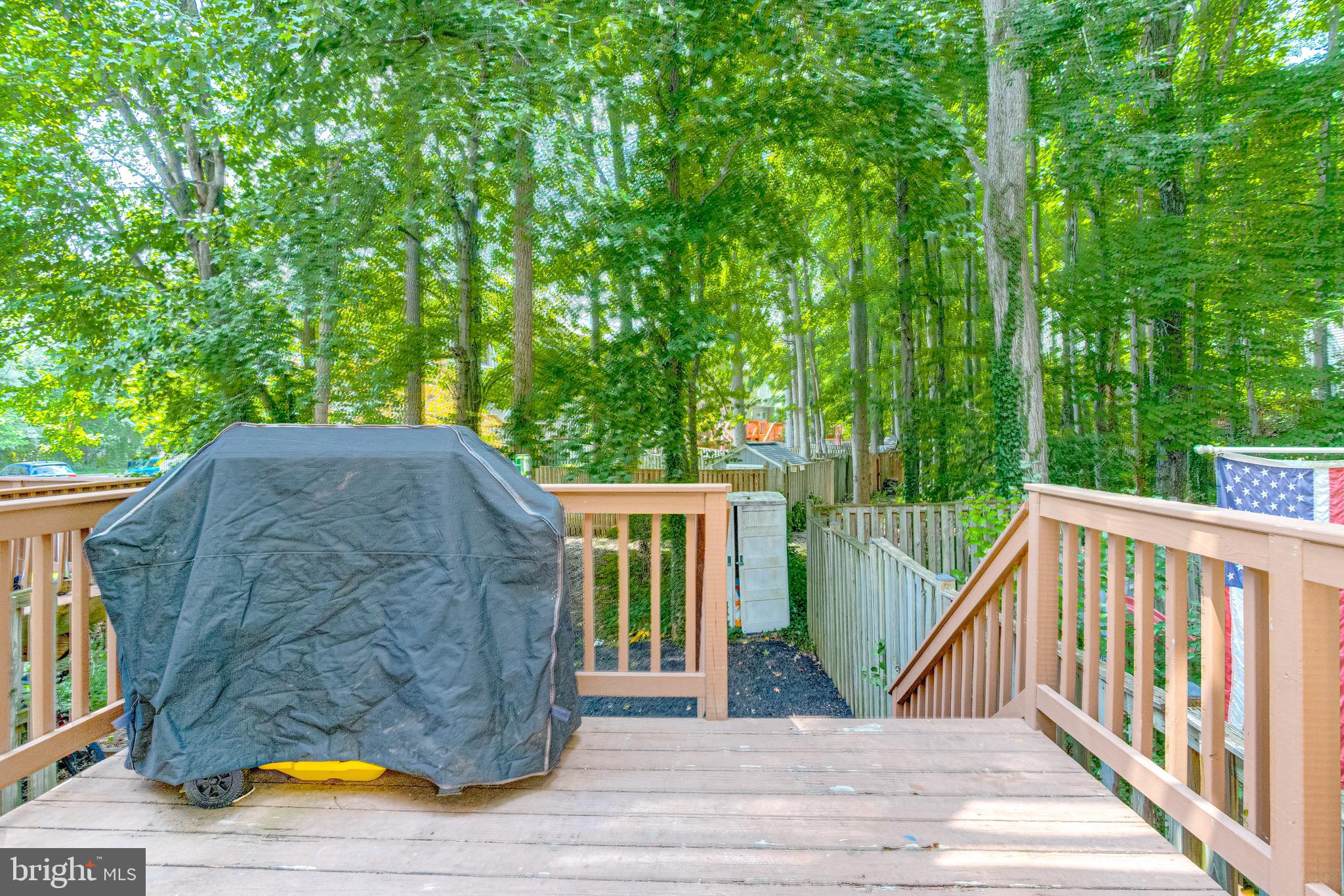 CHESTNUT HILL COVE - Residential