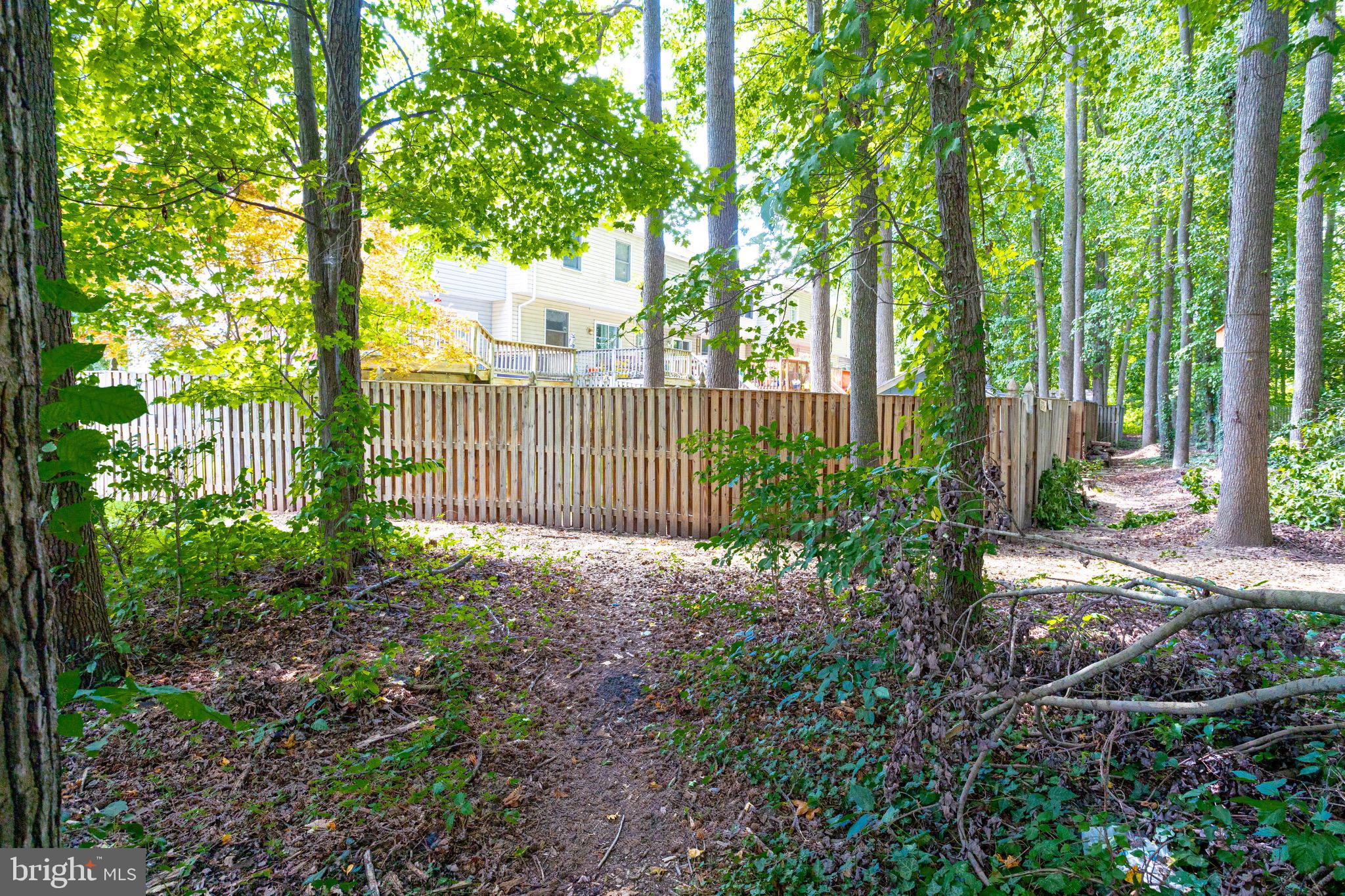 CHESTNUT HILL COVE - Residential