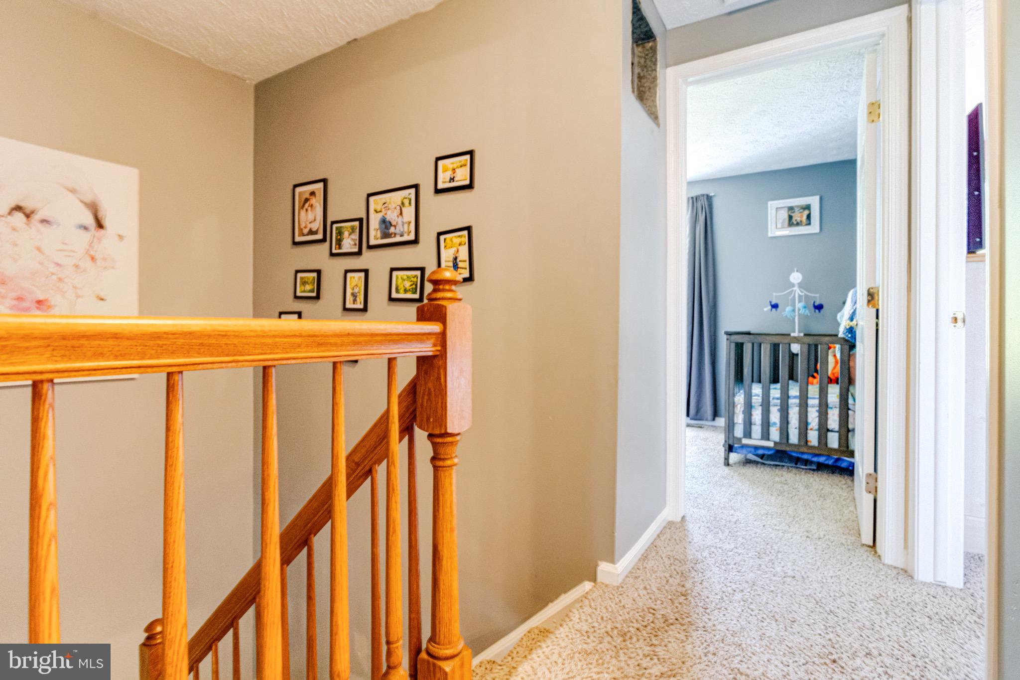 CHESTNUT HILL COVE - Residential