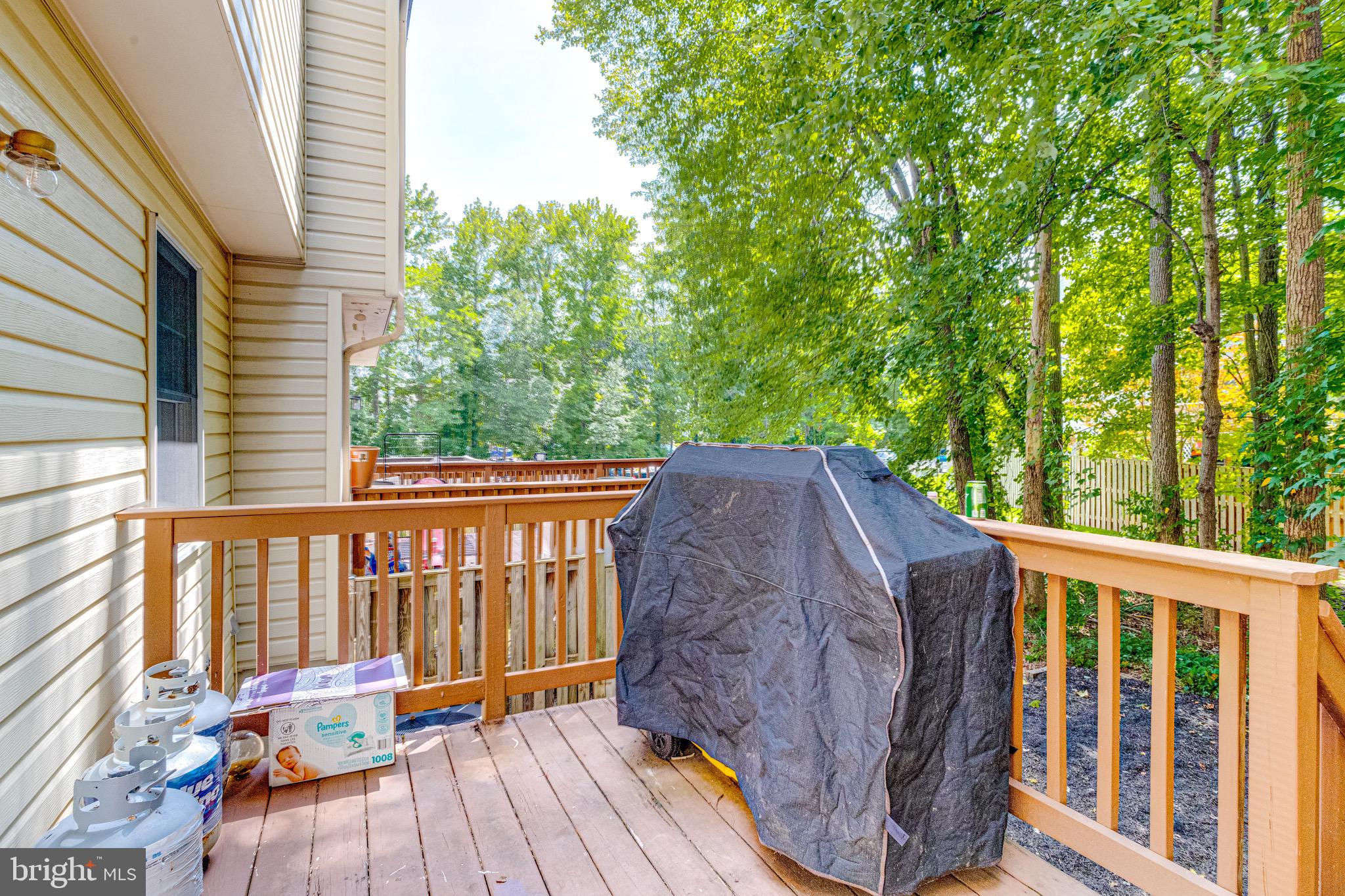 CHESTNUT HILL COVE - Residential