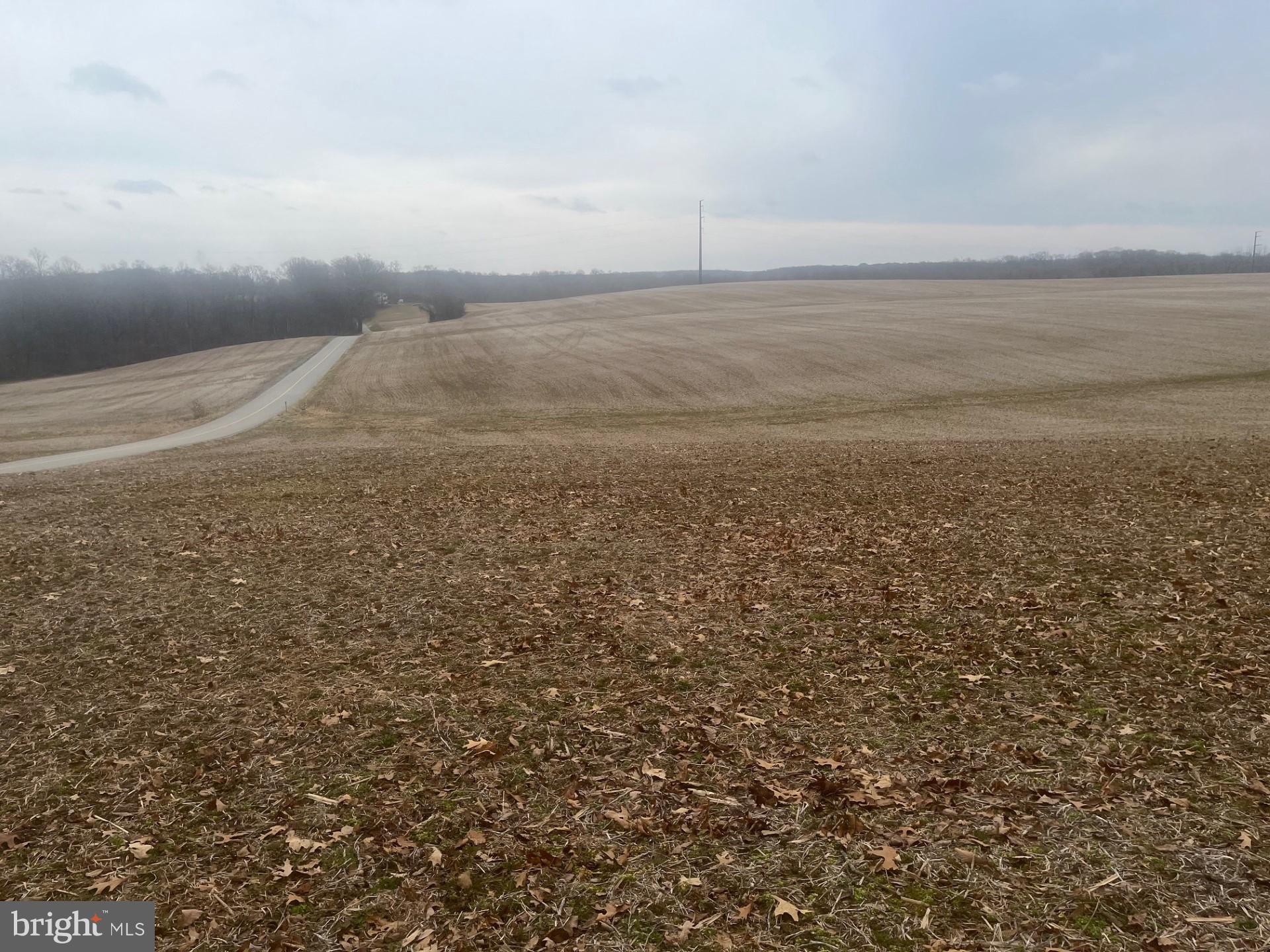 We have a farm here with NO buildings. It has 342.7 total acres but has recently been subdivided into 2 parcels. Parcel 1 has 211.8 acres and parcel 2 has 130.9 acres. There is 170 total in crop use . The tax map shows more tillable acreage. but the subdivision shows what is stated here. Balance is woodland. This farm is NOT in land preservation but is in clean and green. Parcel 1 has 4 building rights. Parcel 2 has 3 building rights. The land is excellent laying land with tons of ag possibilities. Not often do you find a tract of land all adjoining this large. Tremendous hunting opportunities in many locations on this farm.