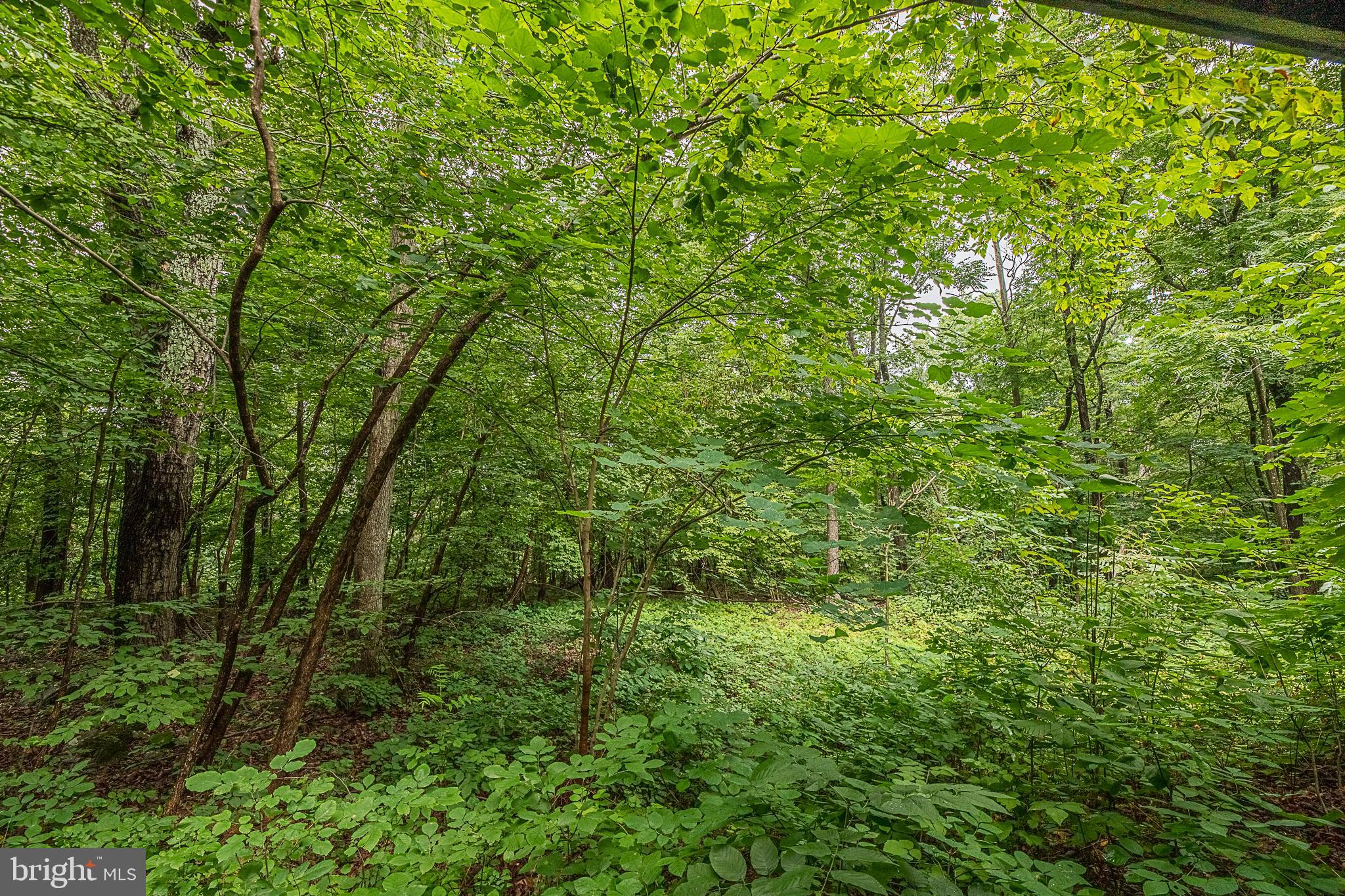 BLUE MOUNTAIN - Residential