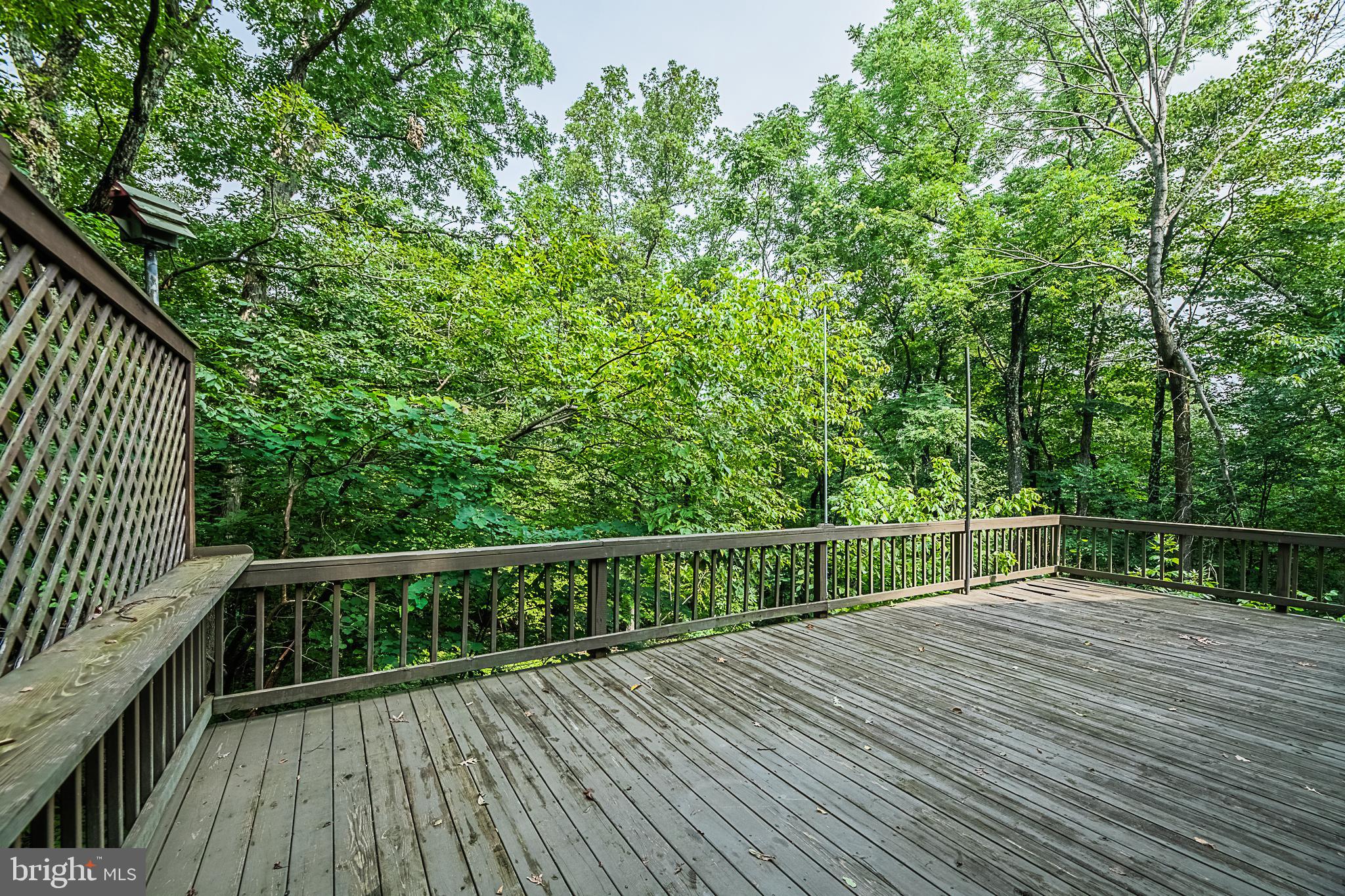 BLUE MOUNTAIN - Residential