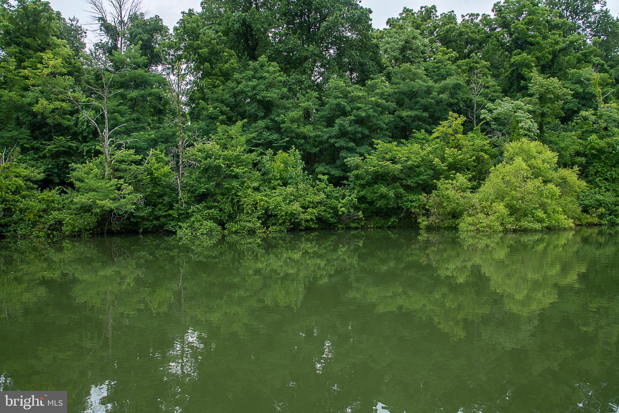 BLUE MOUNTAIN - Residential