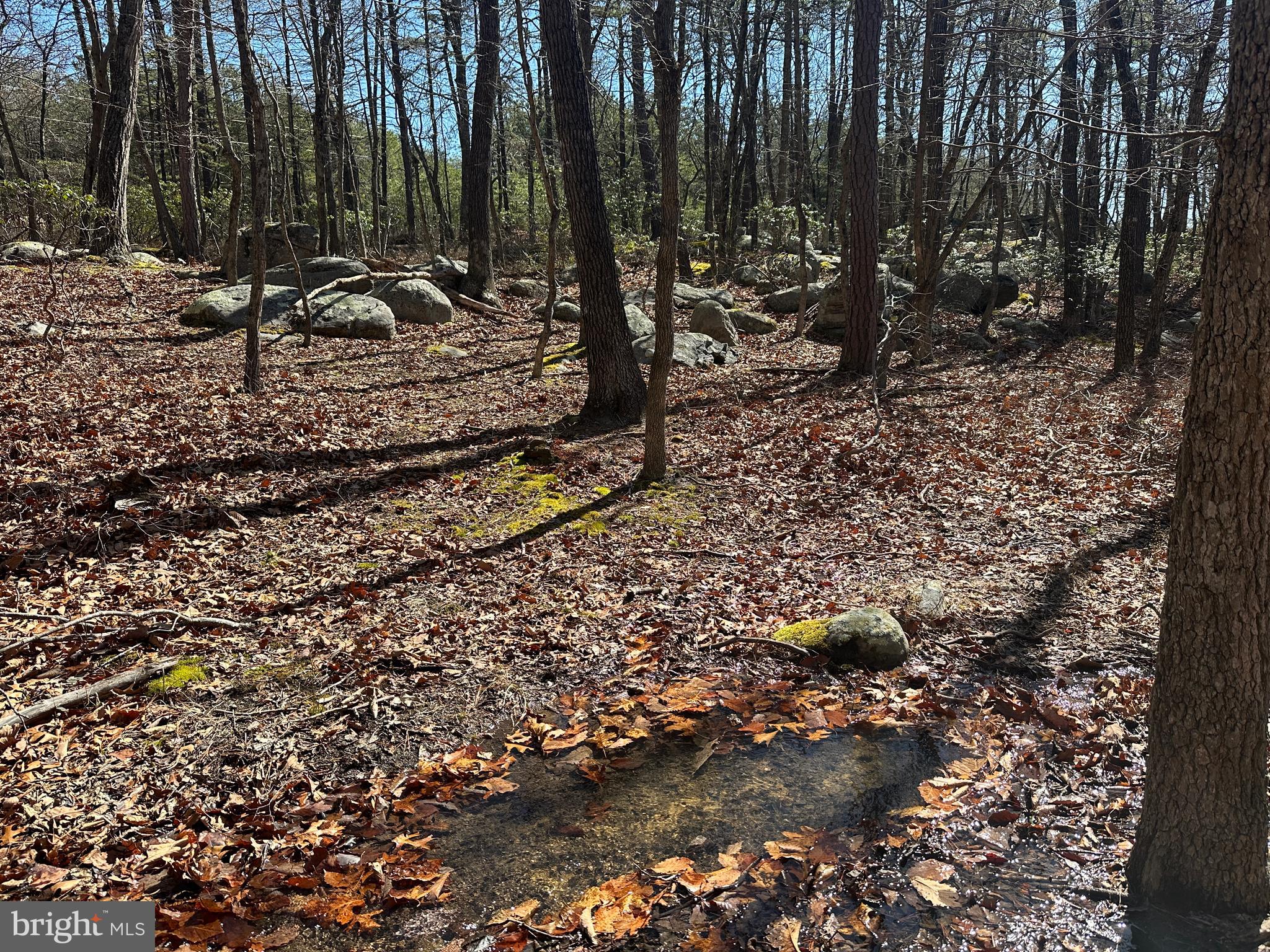 RIVER RIDGE - Residential