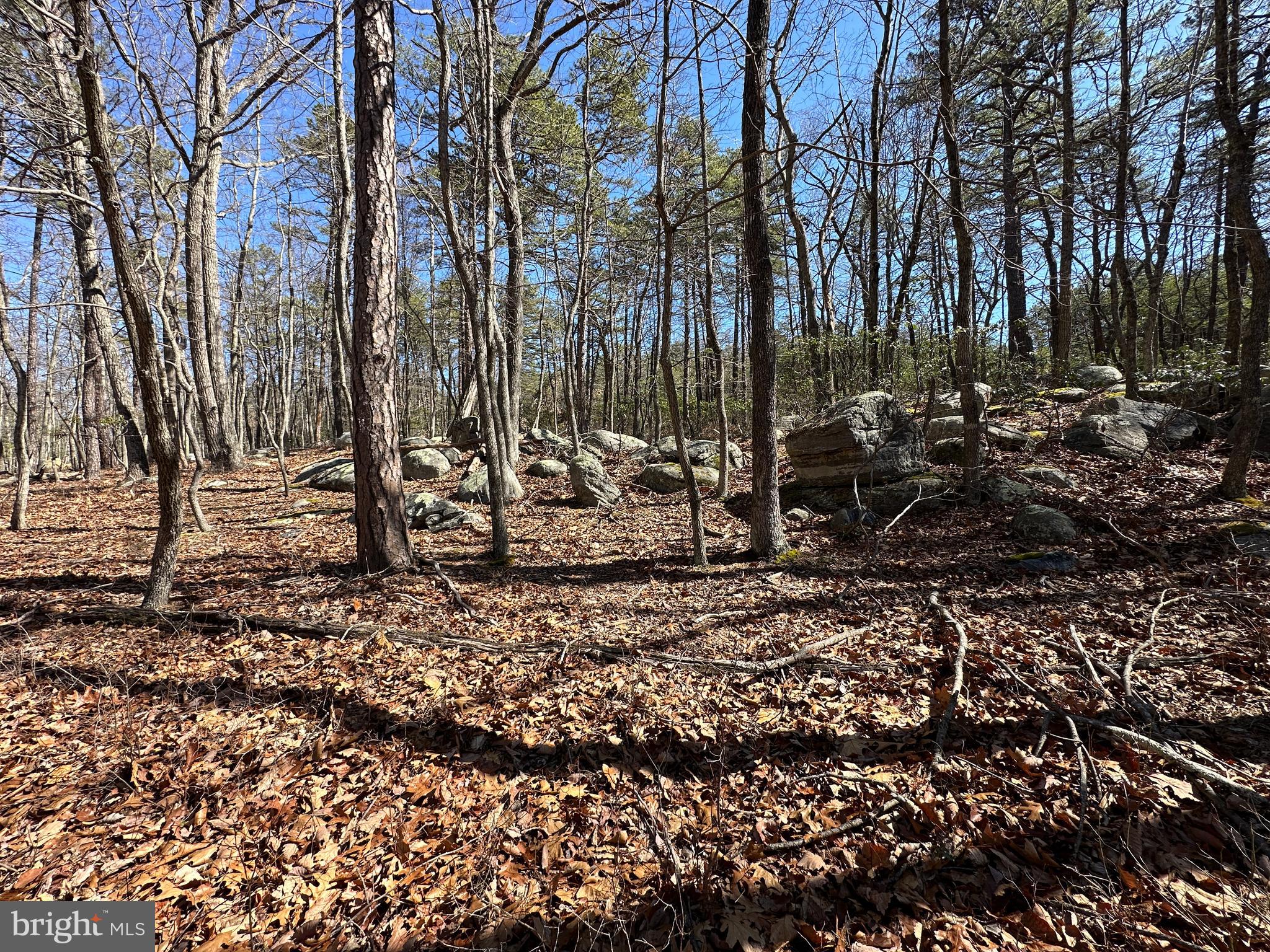 RIVER RIDGE - Residential