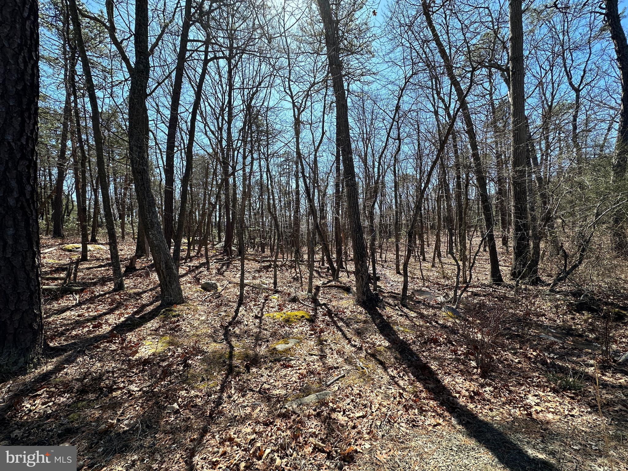 RIVER RIDGE - Residential