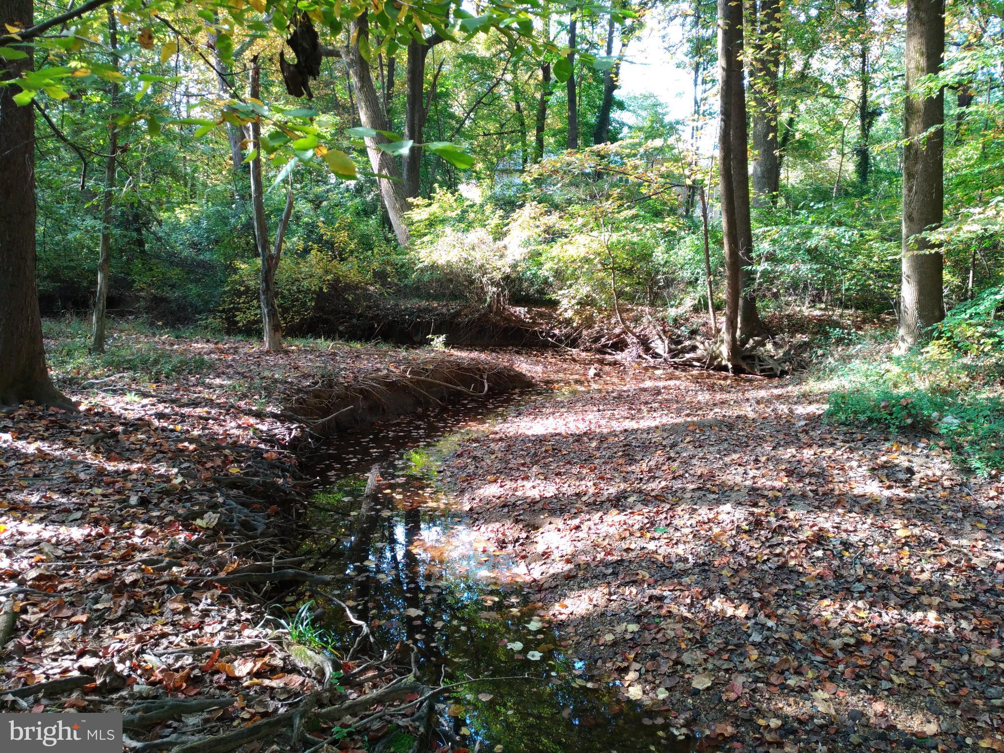 LINDEN SQUARE - Residential