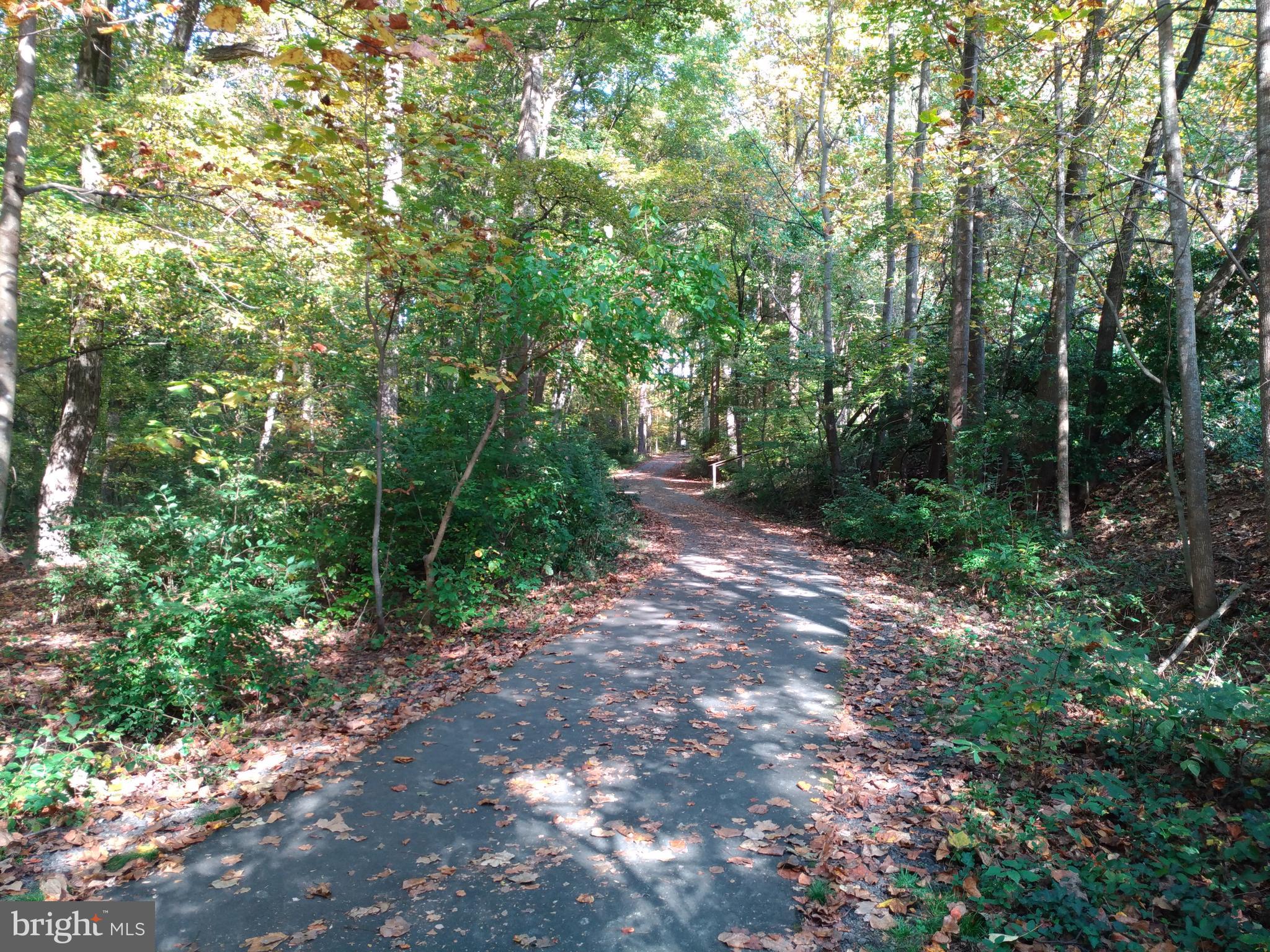 LINDEN SQUARE - Residential