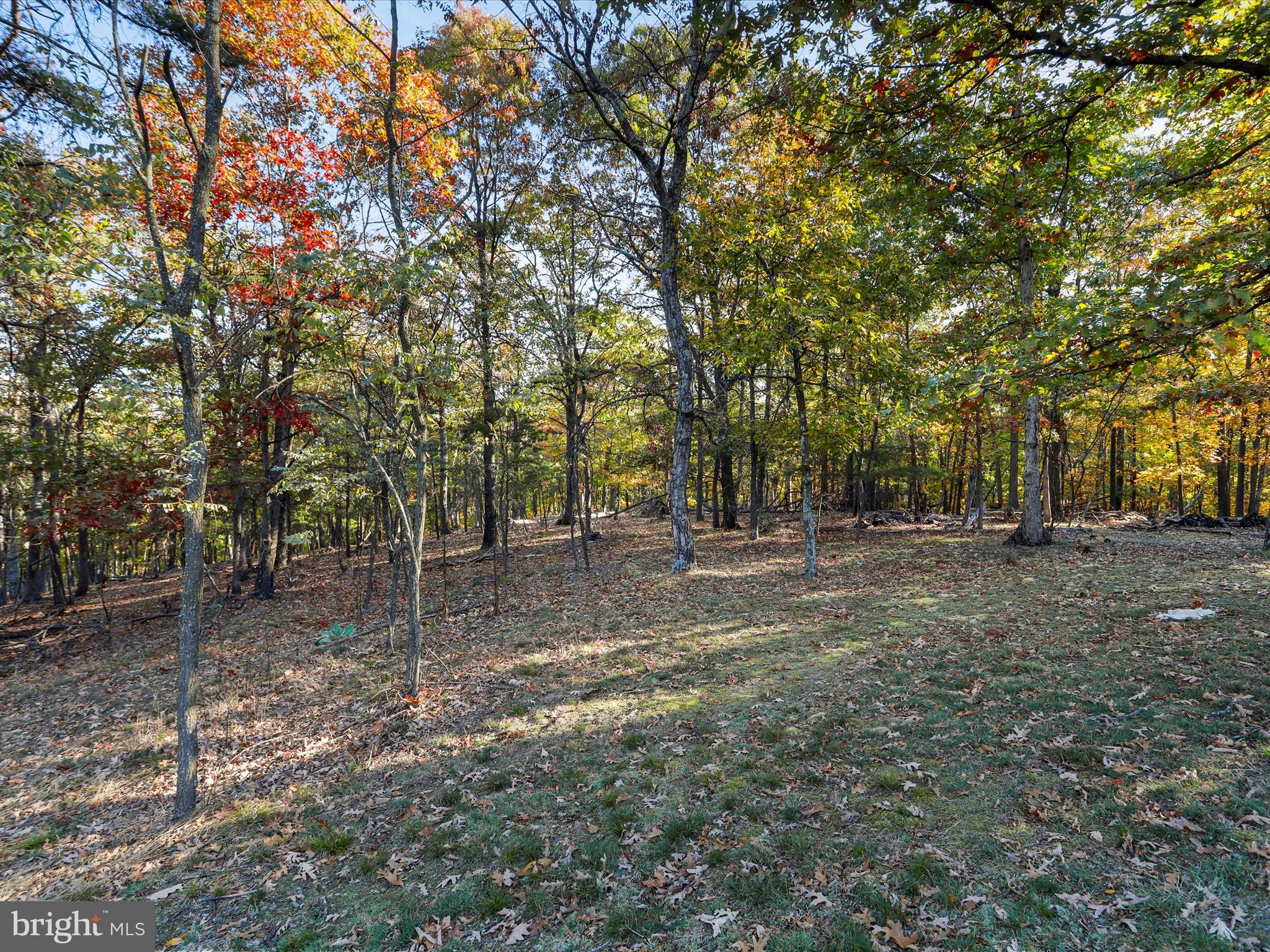 CABIN RUN DISTRICT - Residential