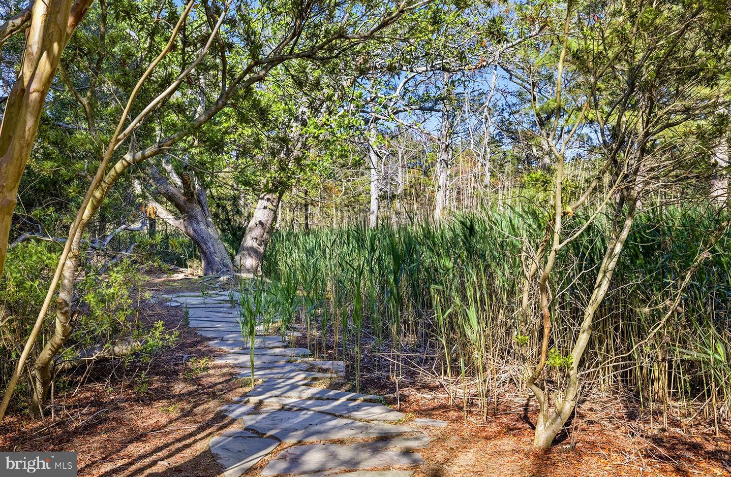 NORTH SHORES - Residential