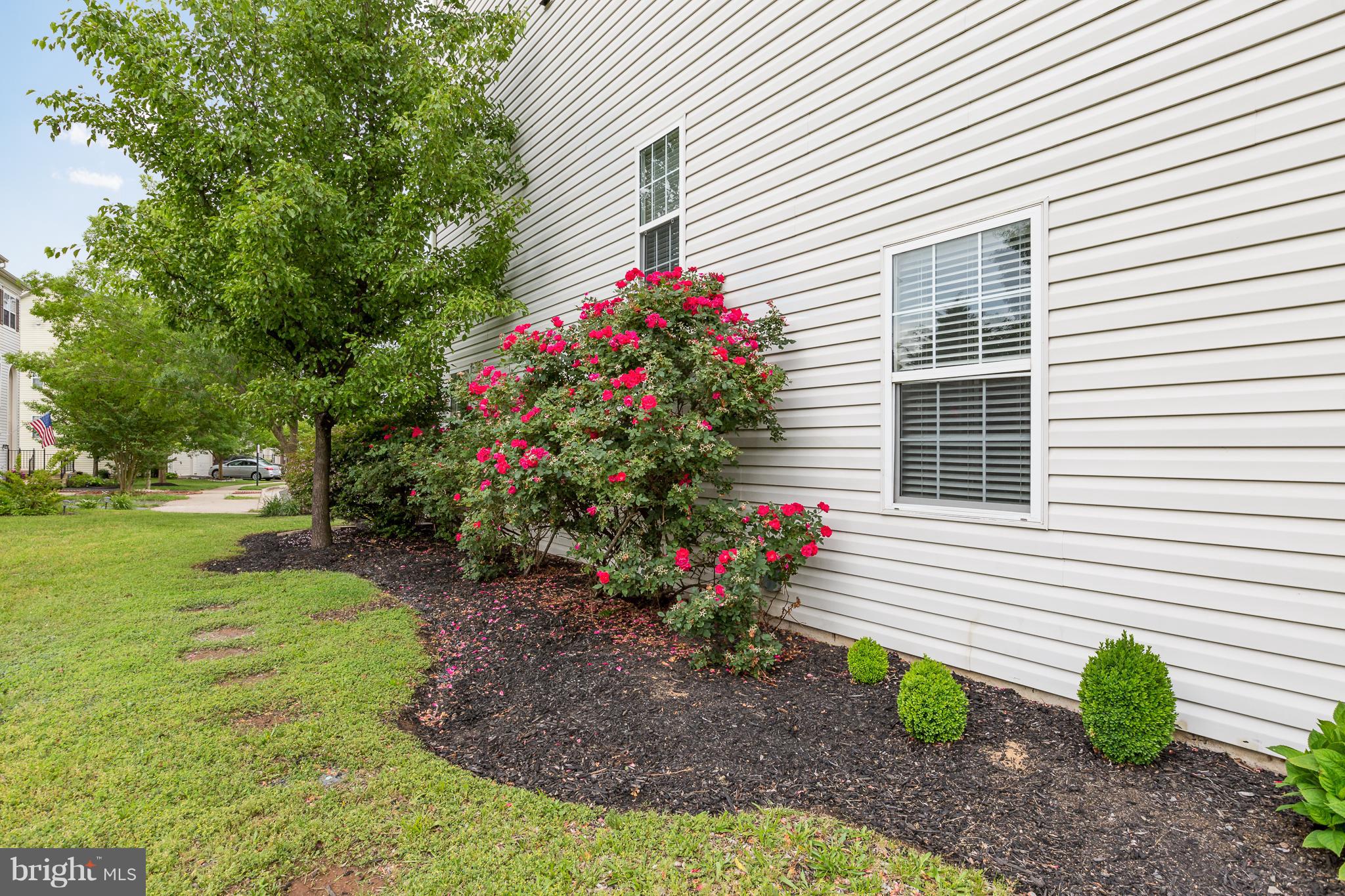 BRAEMAR - Residential