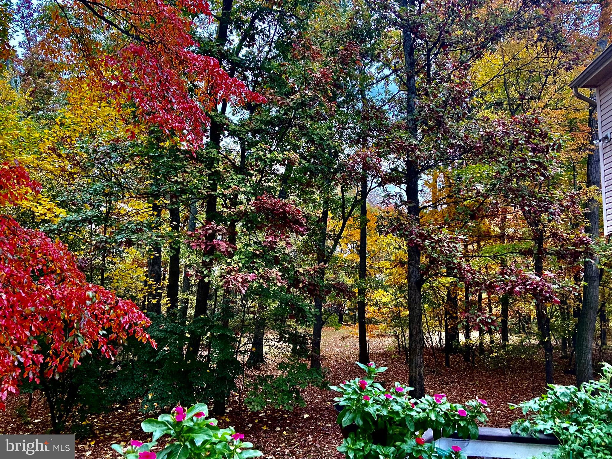 BIG WOODS - Residential