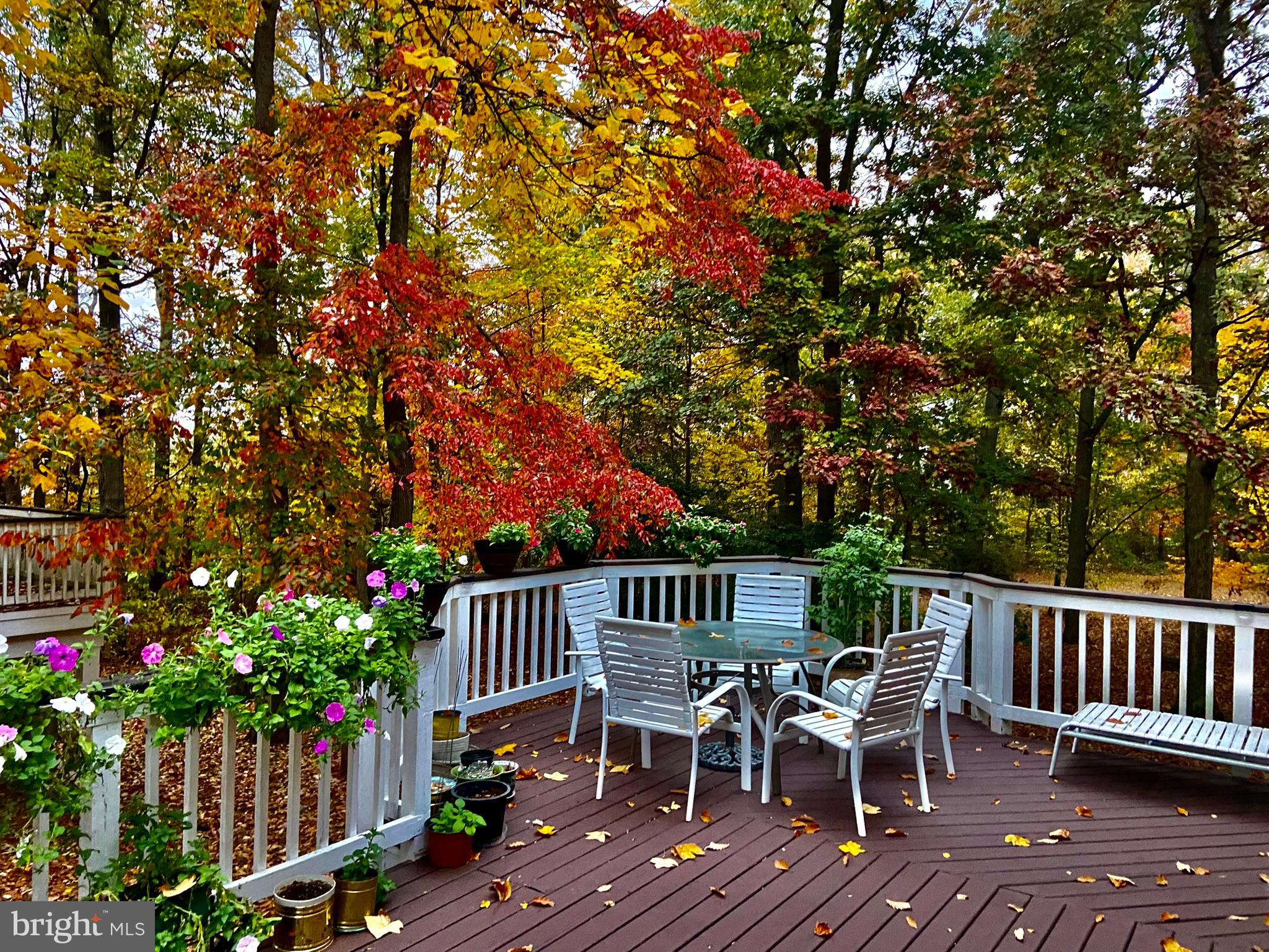 BIG WOODS - Residential