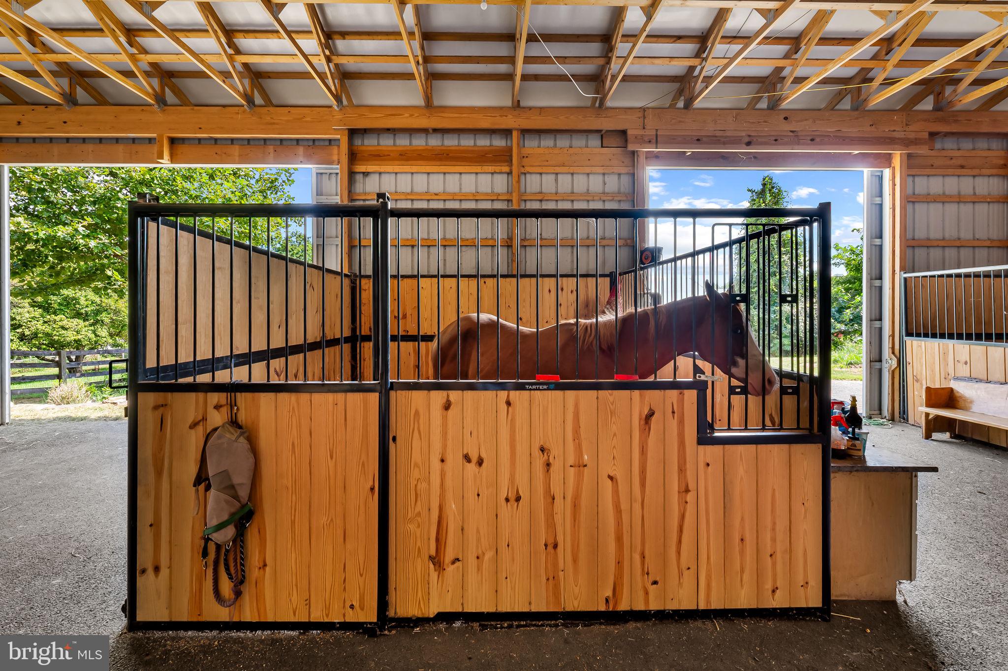 MADONNA MEADOWS - Residential