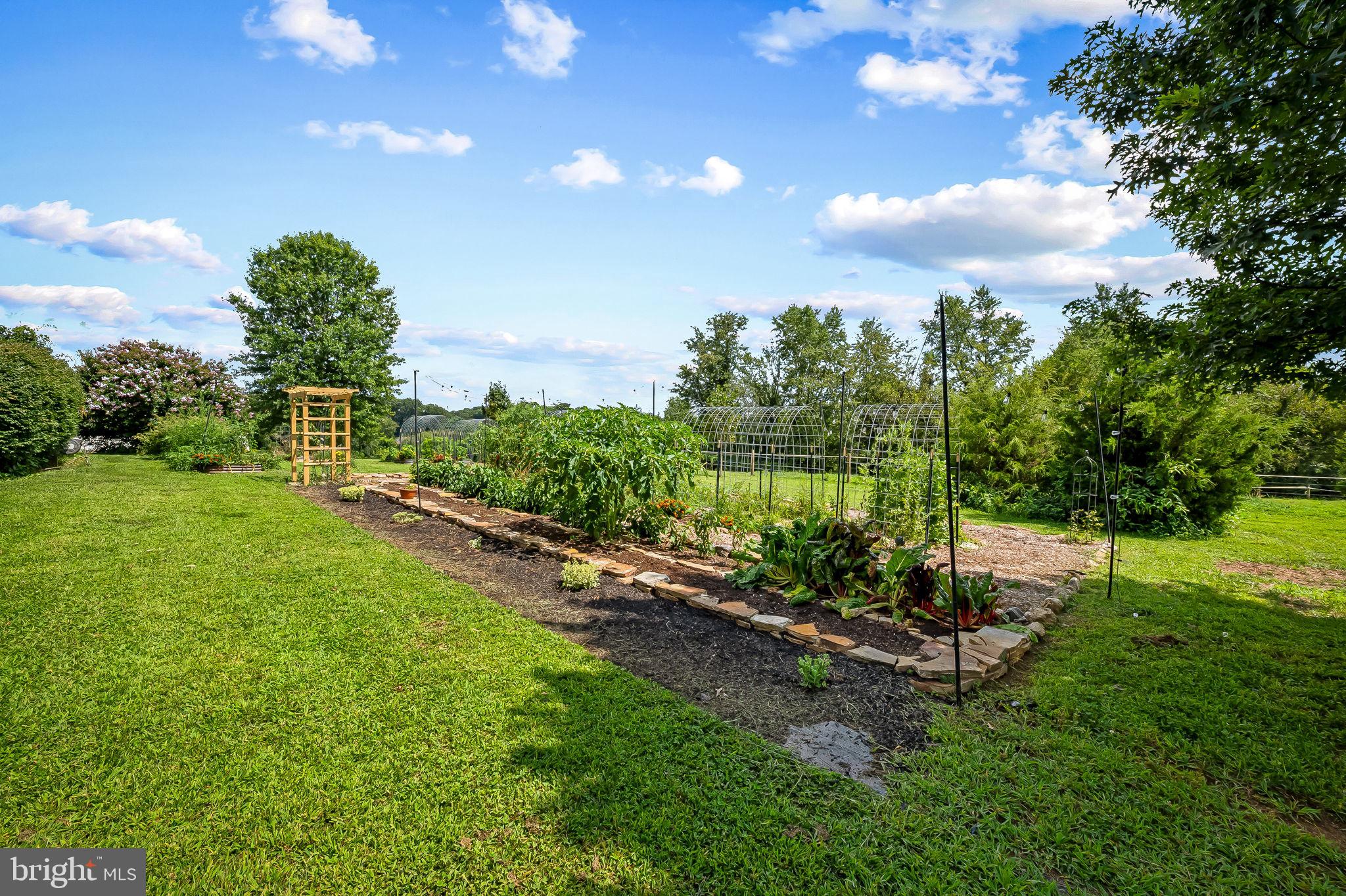 MADONNA MEADOWS - Residential