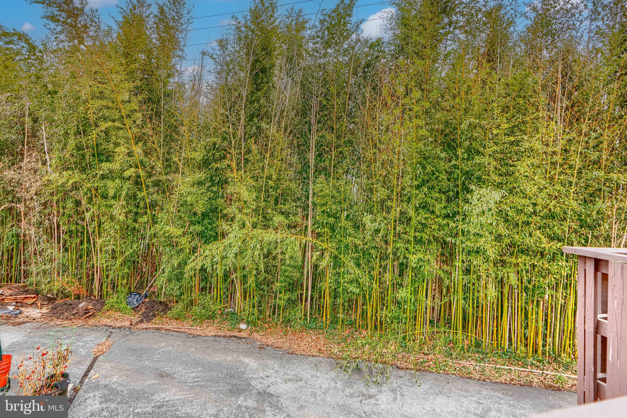 ALTA VISTA - Residential