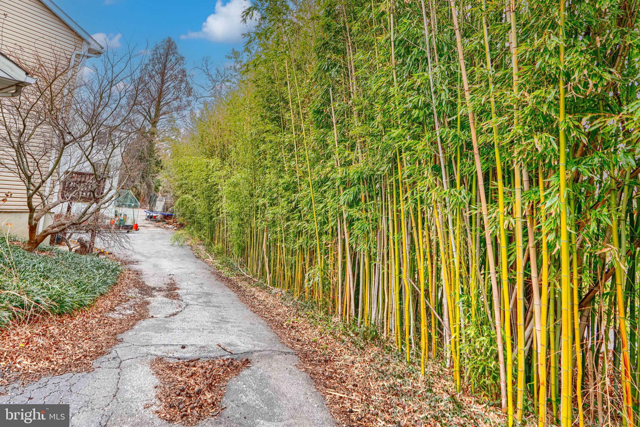 ALTA VISTA - Residential