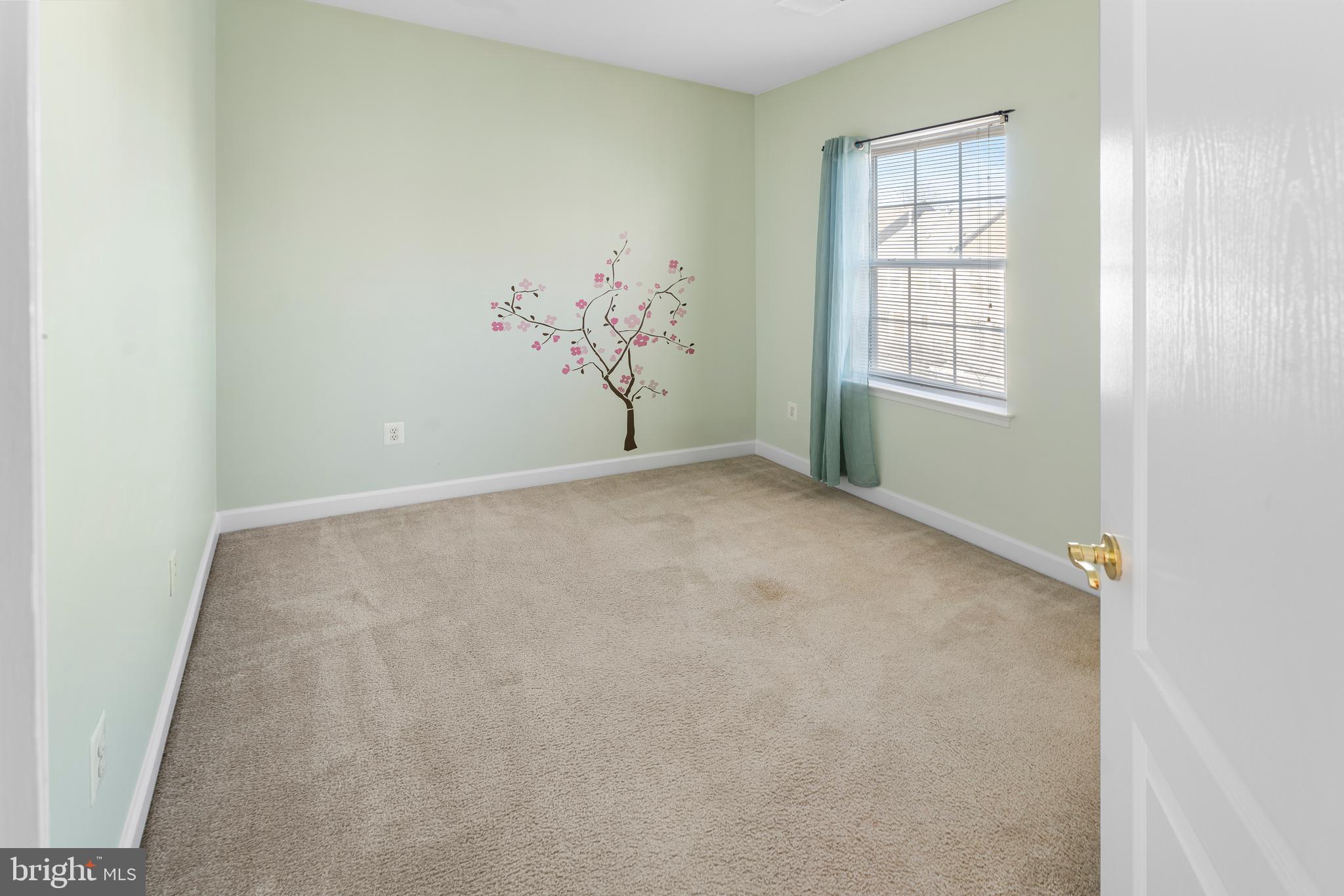 TOWN CENTER AT CAMP SPRINGS - Residential