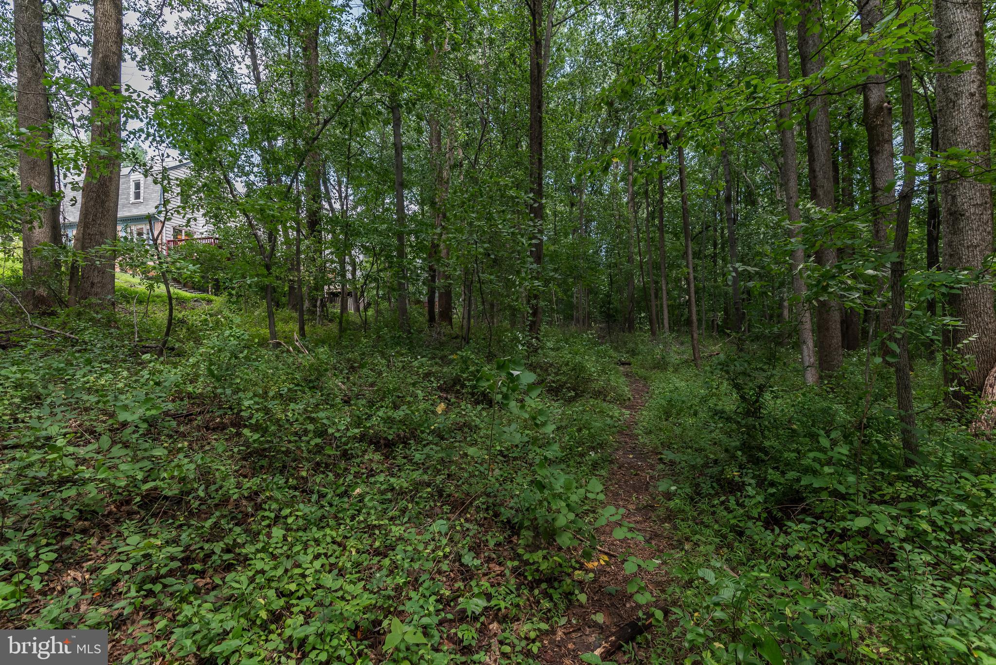 OAK SPRINGS - Residential