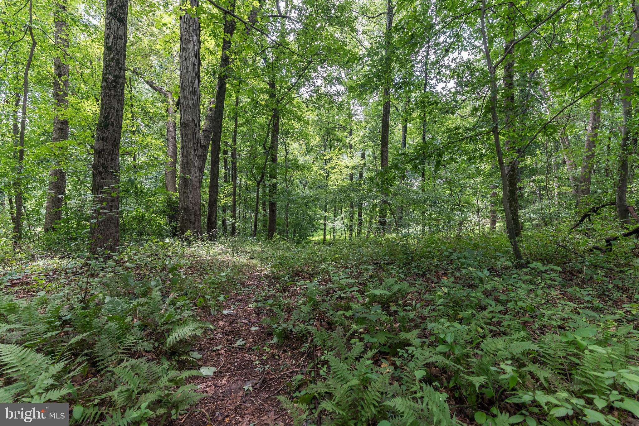 OAK SPRINGS - Residential