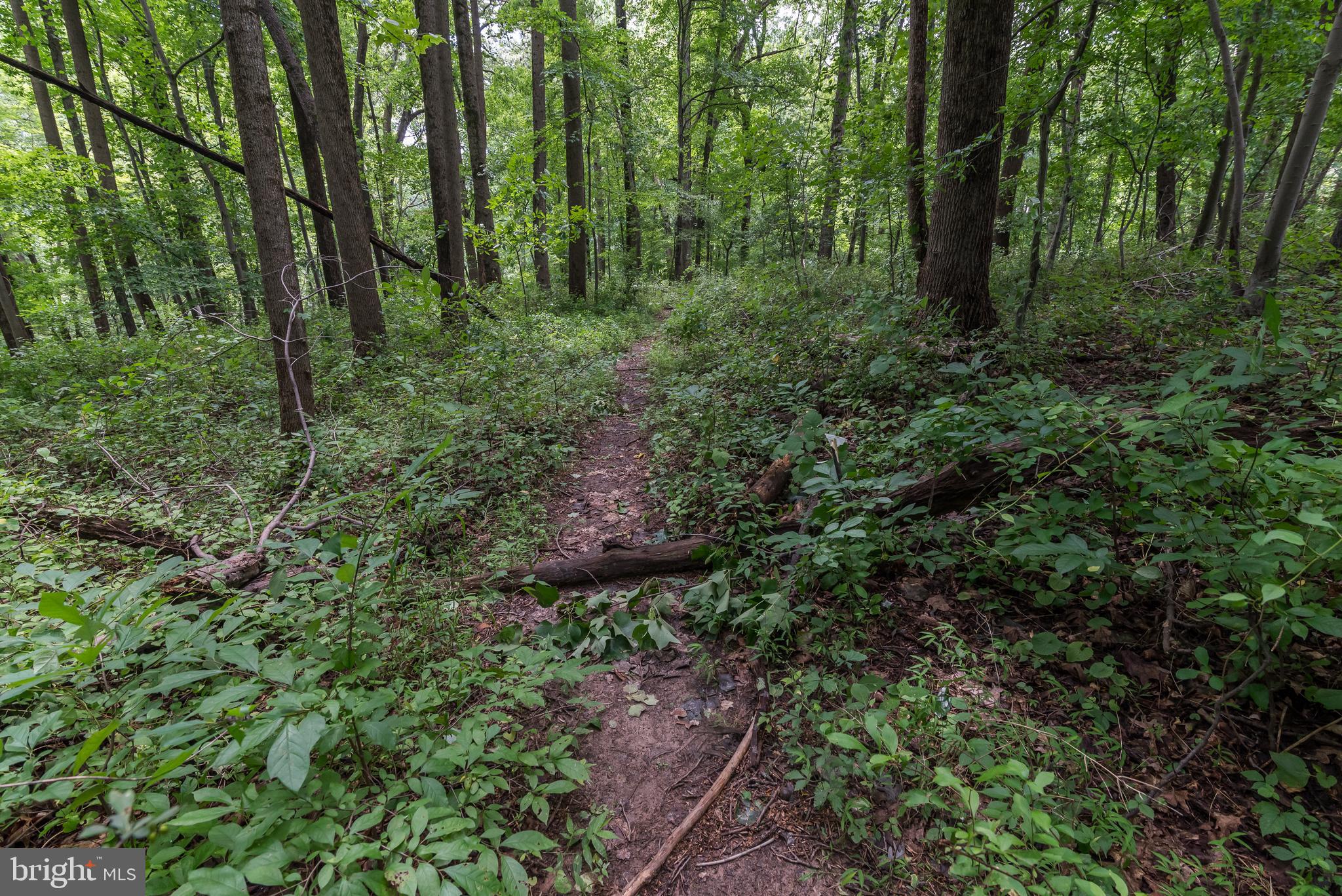 OAK SPRINGS - Residential