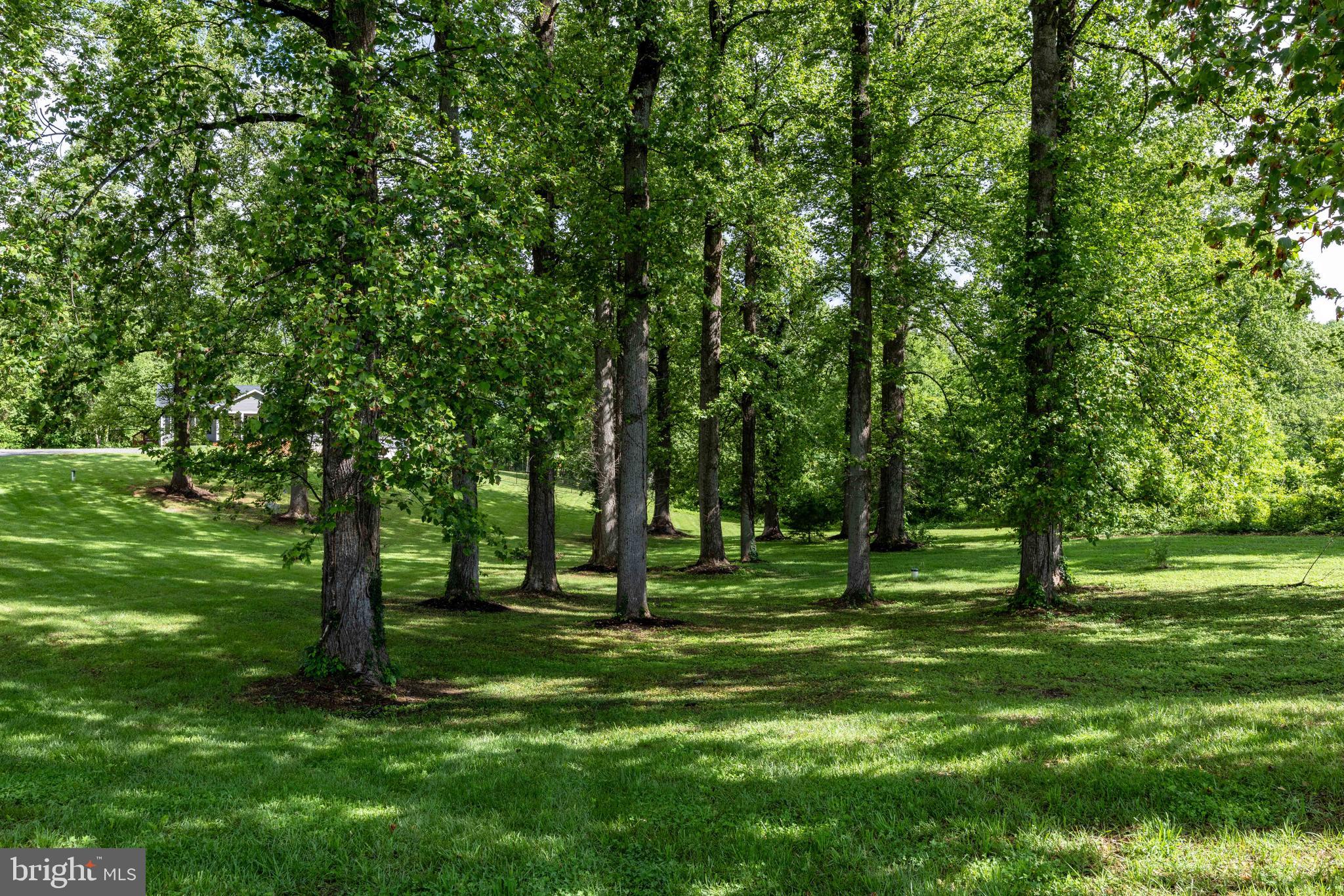 POPLAR RIDGE - Residential