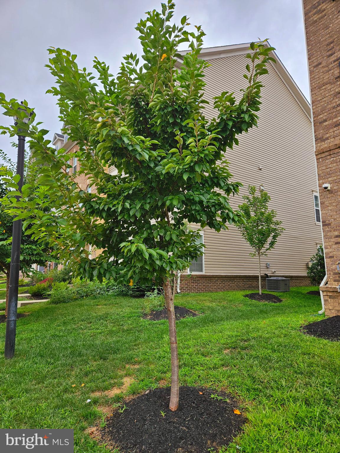 SPRINGDALE ESTATES - Residential