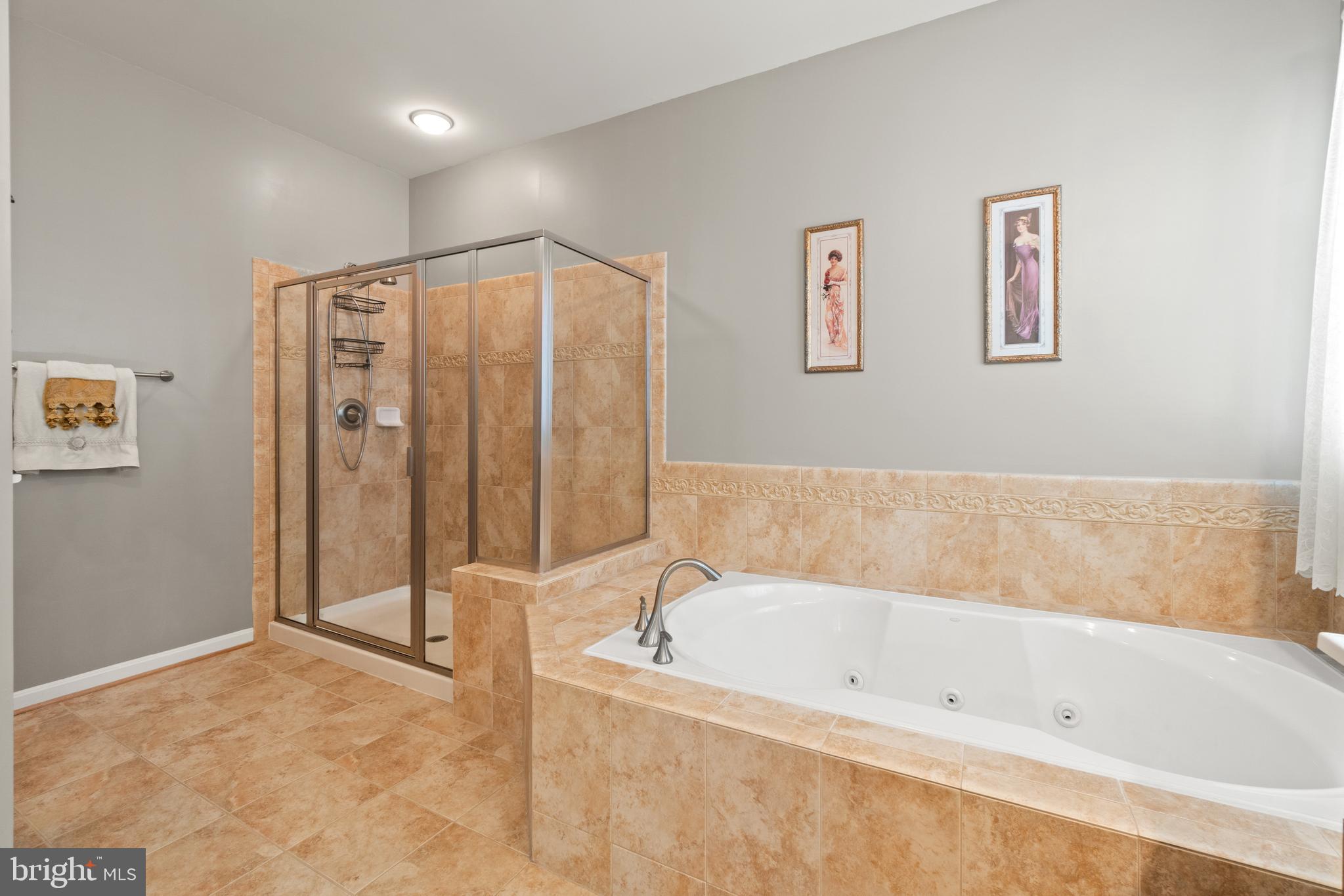 FOUR SEASONS AT HISTORIC VA - Residential