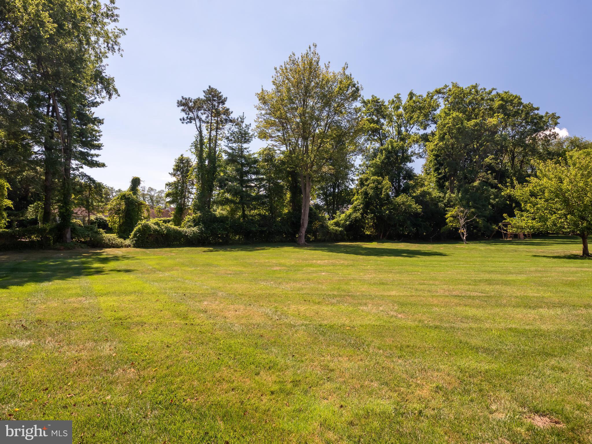 BOW TREE - Residential