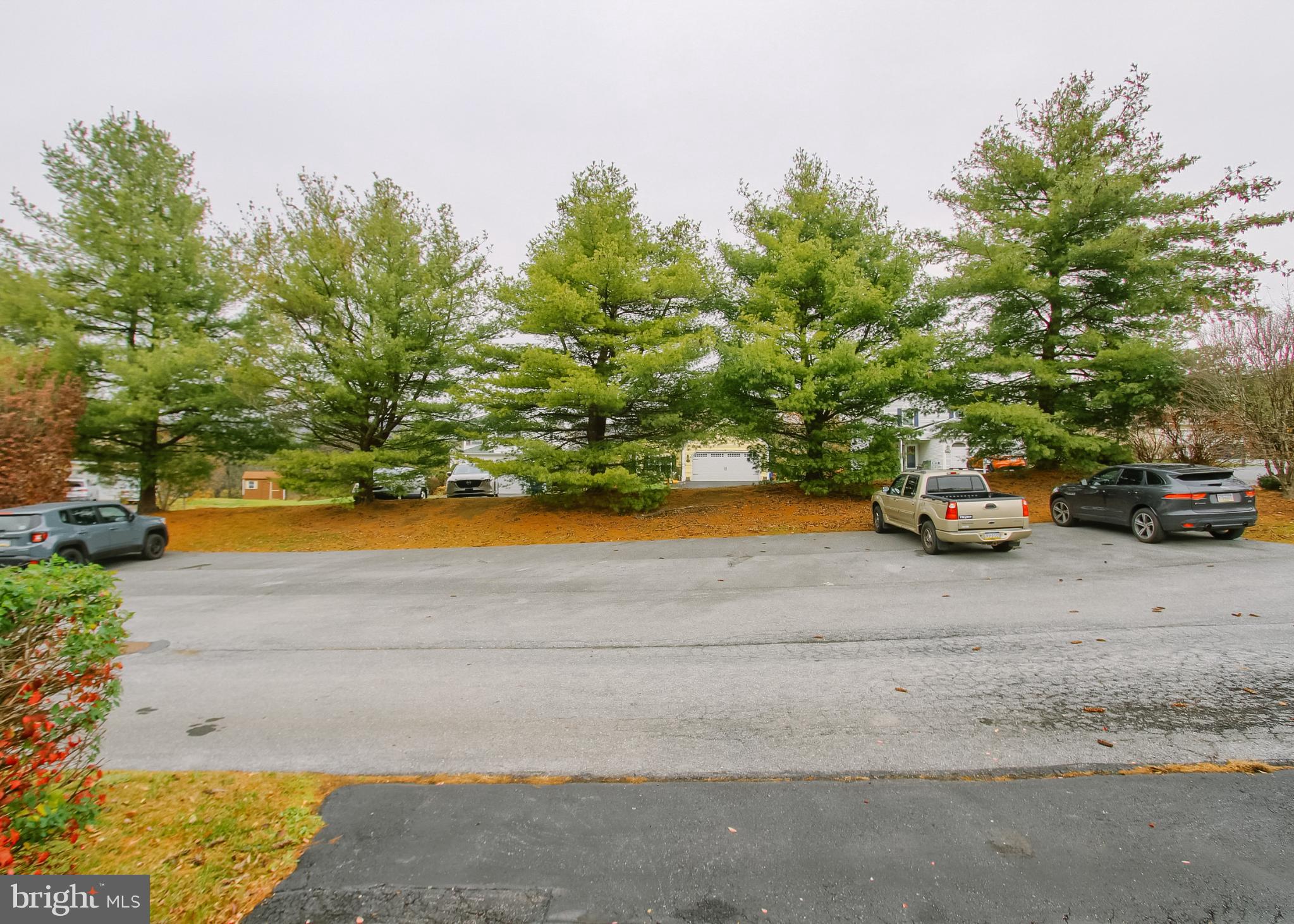 BLUE MEADOW FARMS - Residential